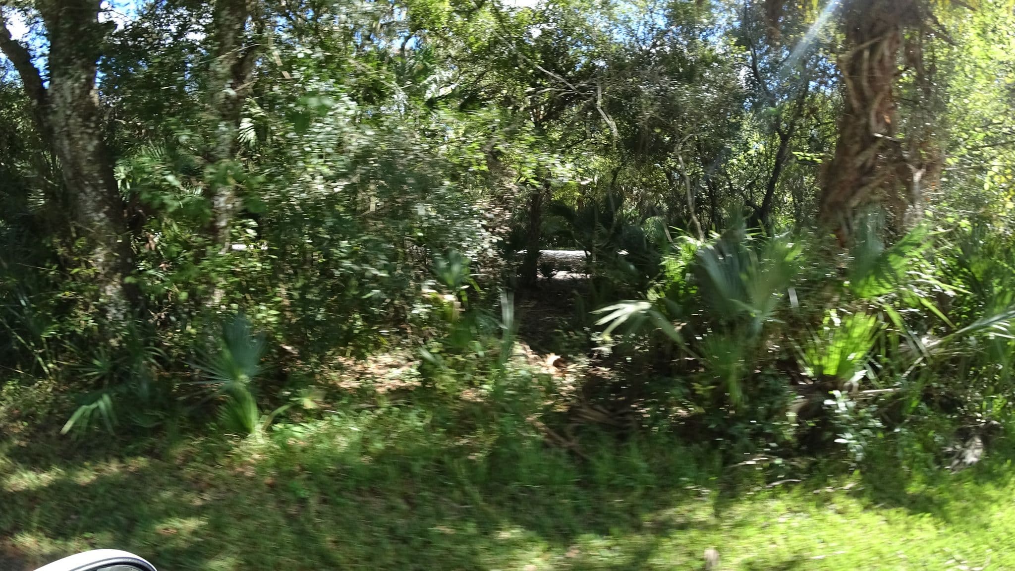 Street view near OP40, Lake Sarasota — © jpace (CC BY-SA · Mapillary)