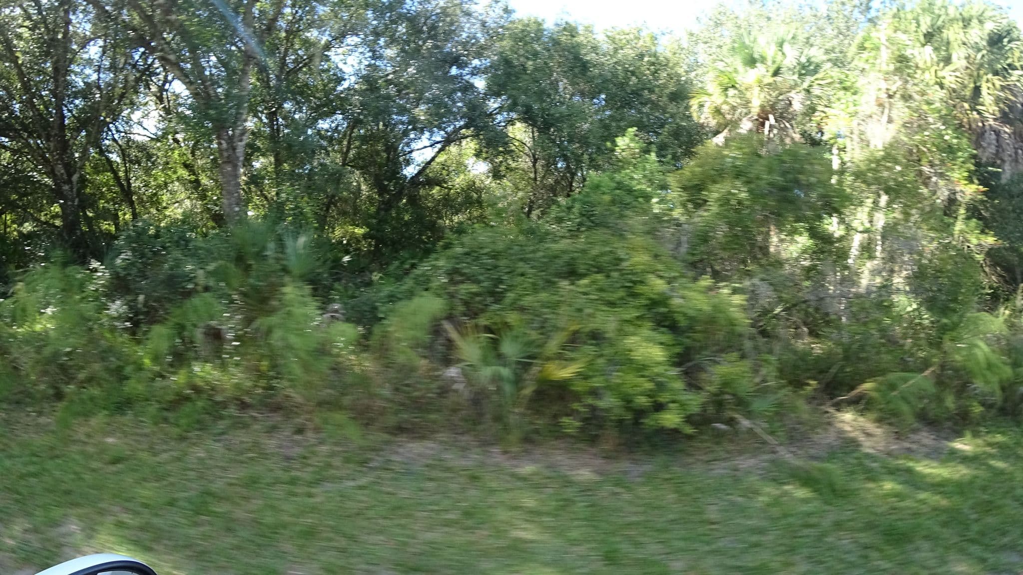Street view near PR53, Lake Sarasota — © jpace (CC BY-SA · Mapillary)