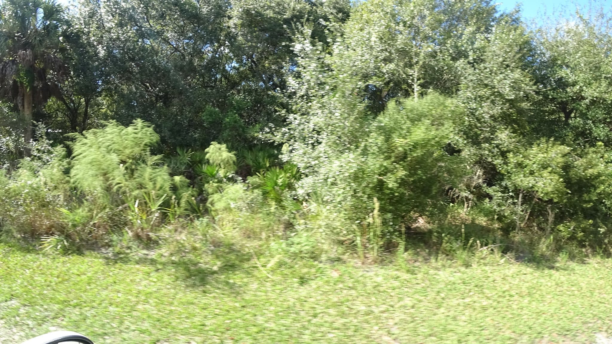 Street view near PR55, Lake Sarasota — © jpace (CC BY-SA · Mapillary)