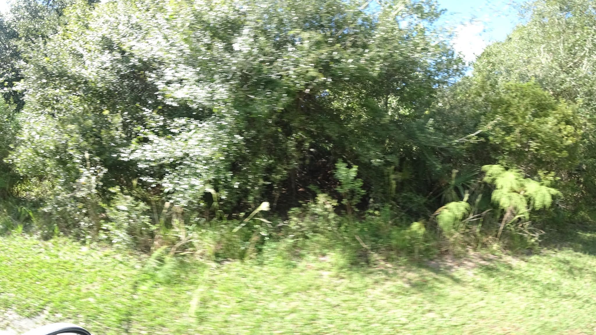Street view near PR57, Lake Sarasota — © jpace (CC BY-SA · Mapillary)