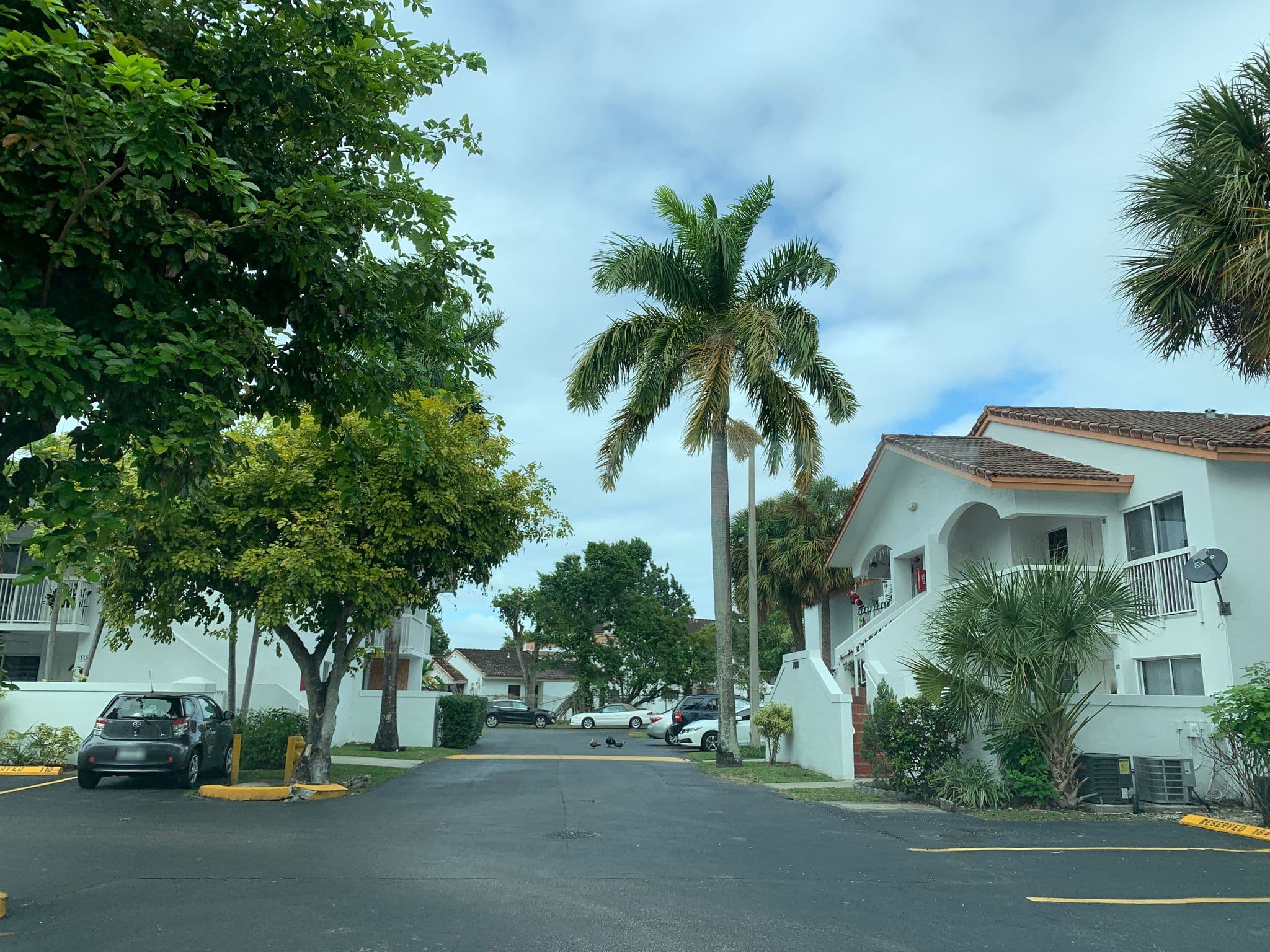 Street view near Point Lake, Kendall West — © janet1984 (CC BY-SA · Mapillary)