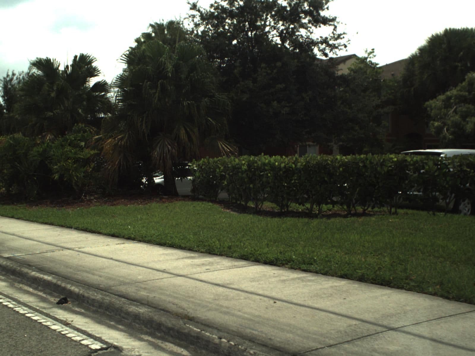 Street view near Mi prima Dania, Davie — © fdot_vl (CC BY-SA · Mapillary)
