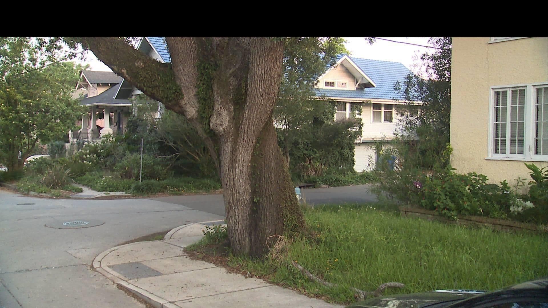 Street view near Casa N Orléans, New Orleans