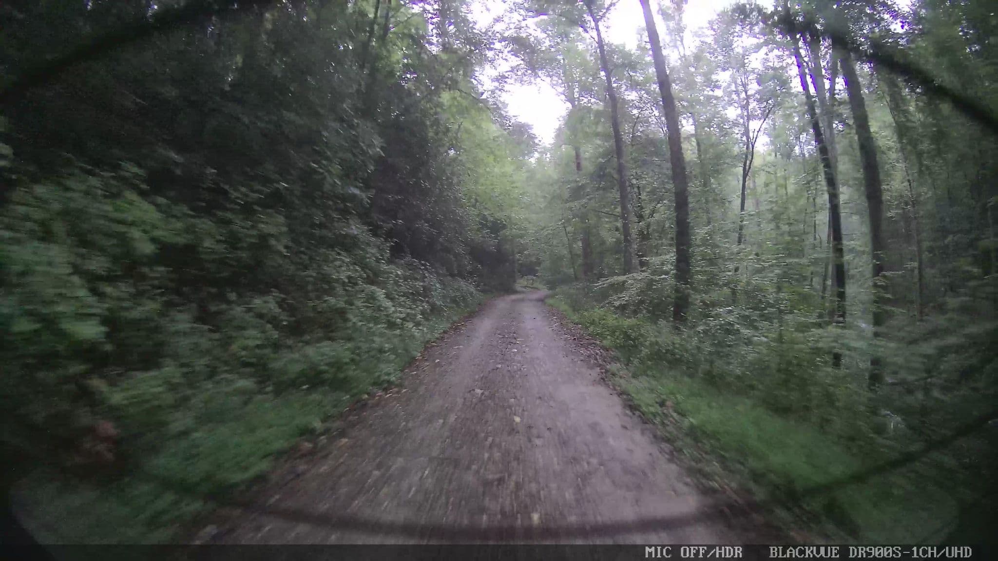 Street view near Bear Creek Campground, Ellijay — © jackdripper (CC BY-SA · Mapillary)