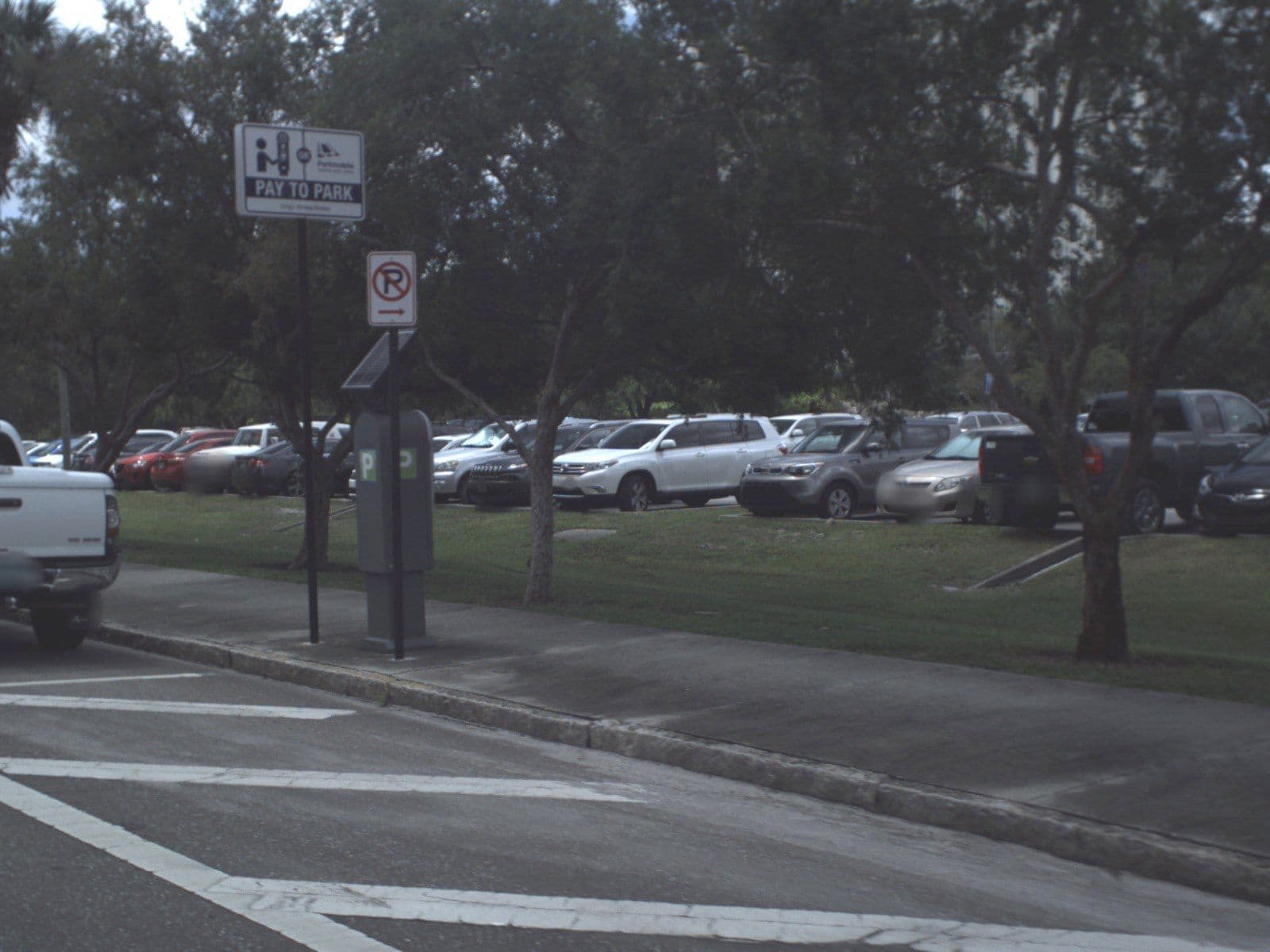Street view near SpringHill Suites, Tampa — © fdot_vl (CC BY-SA · Mapillary)