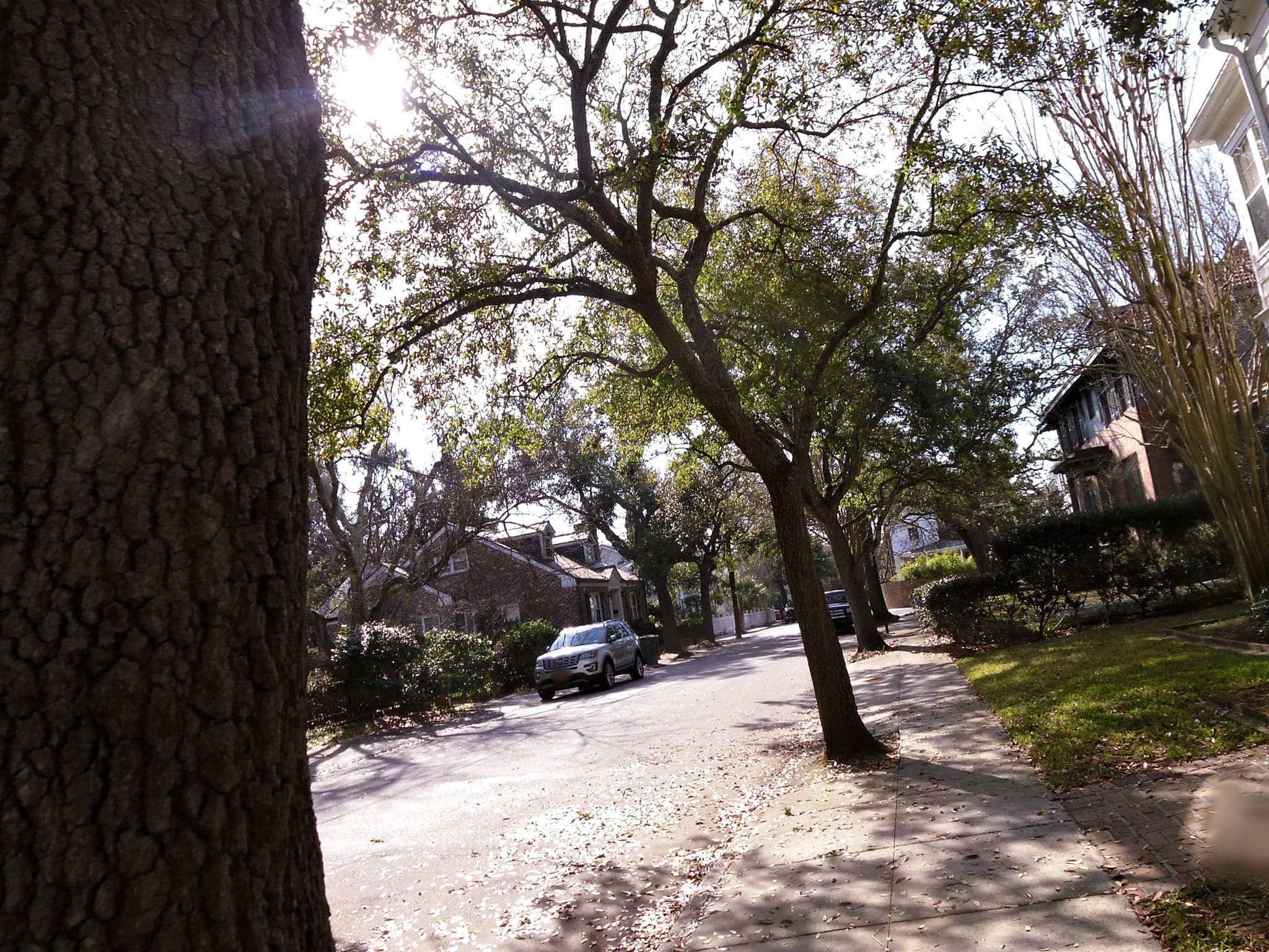 Street view near The Garden Cottage, Charleston
