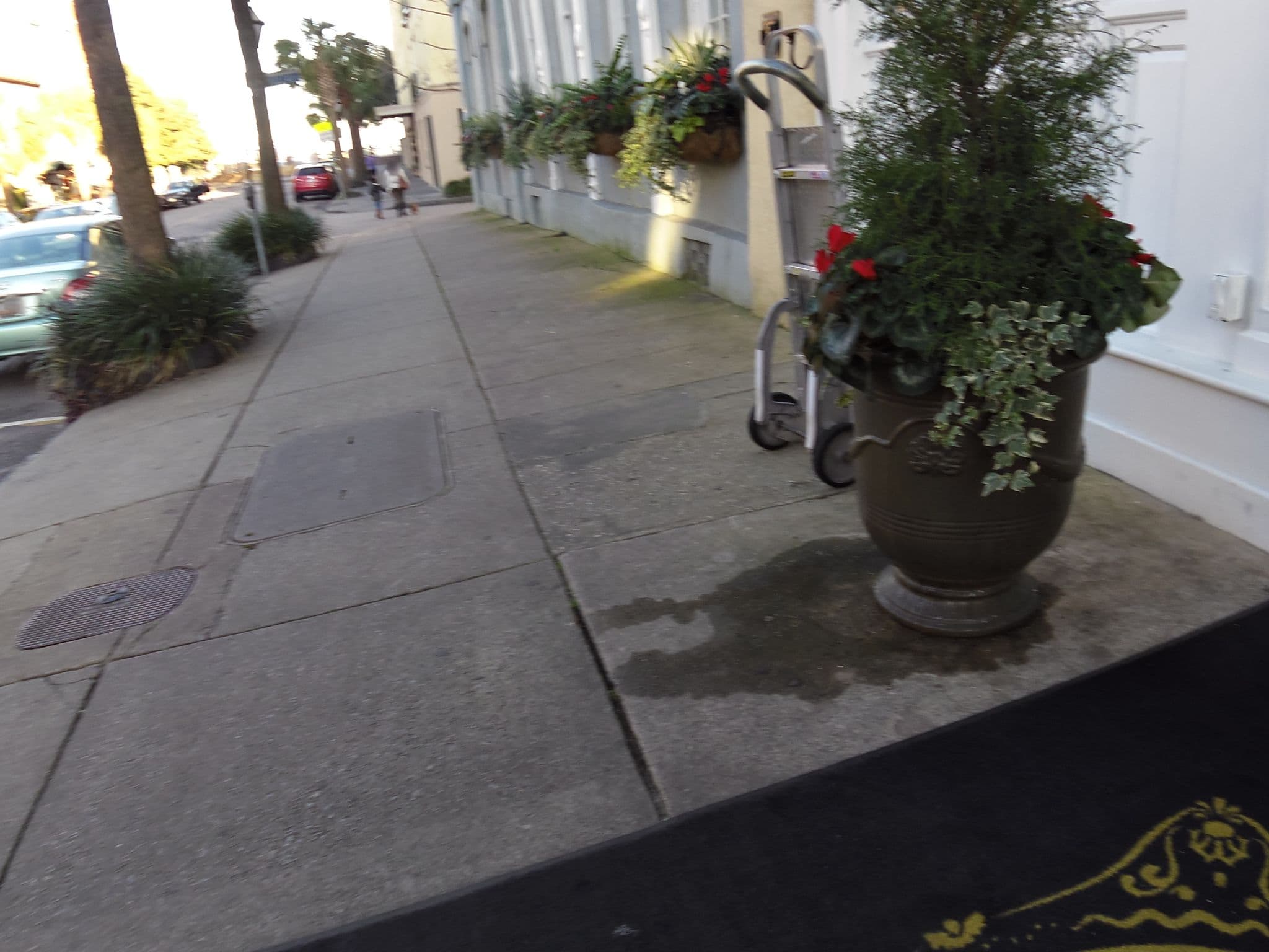 Street view near The Vendue, Charleston
