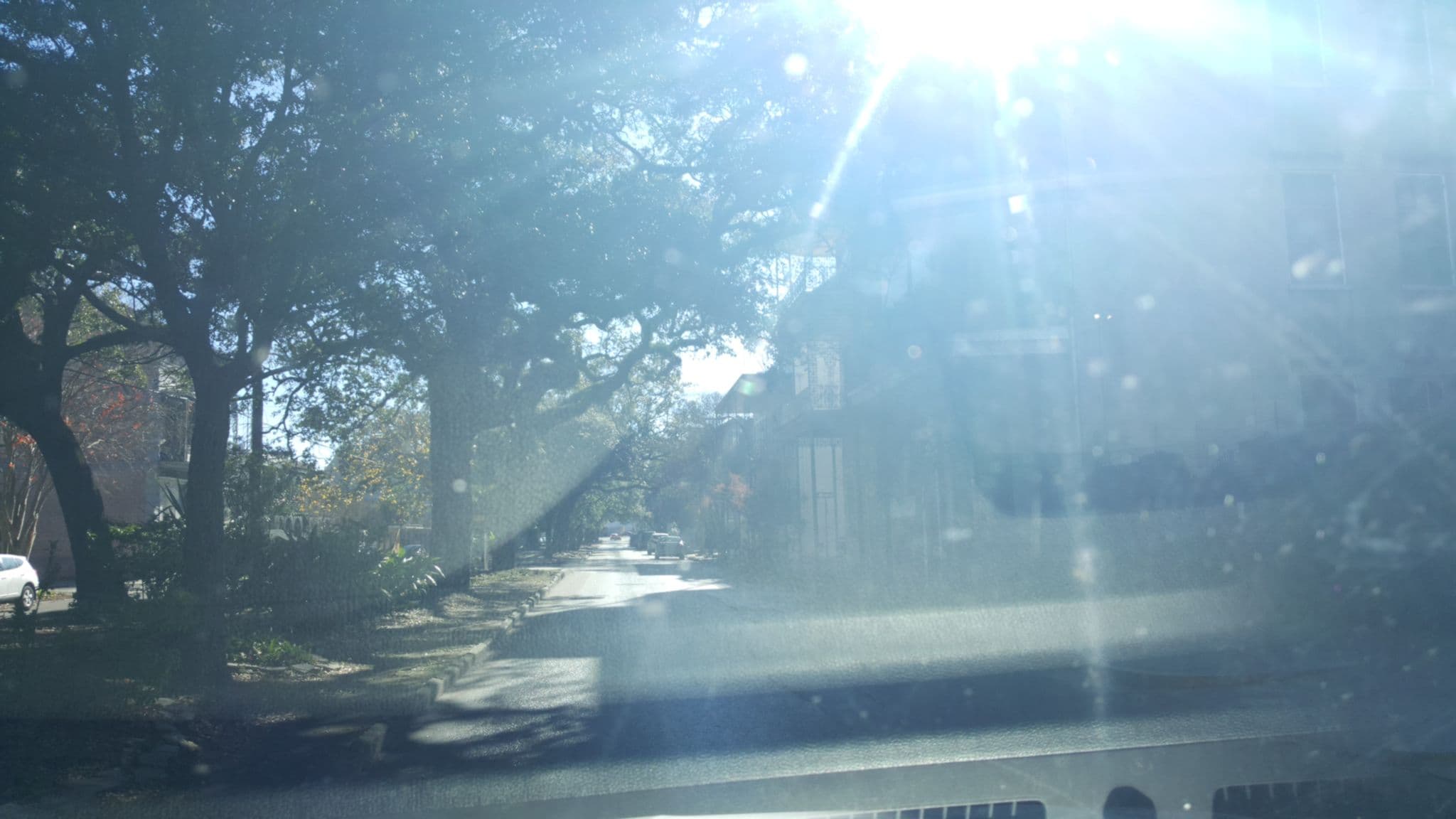 Street view near Jean Lafitte House, New Orleans — © brenaone (CC BY-SA · Mapillary)