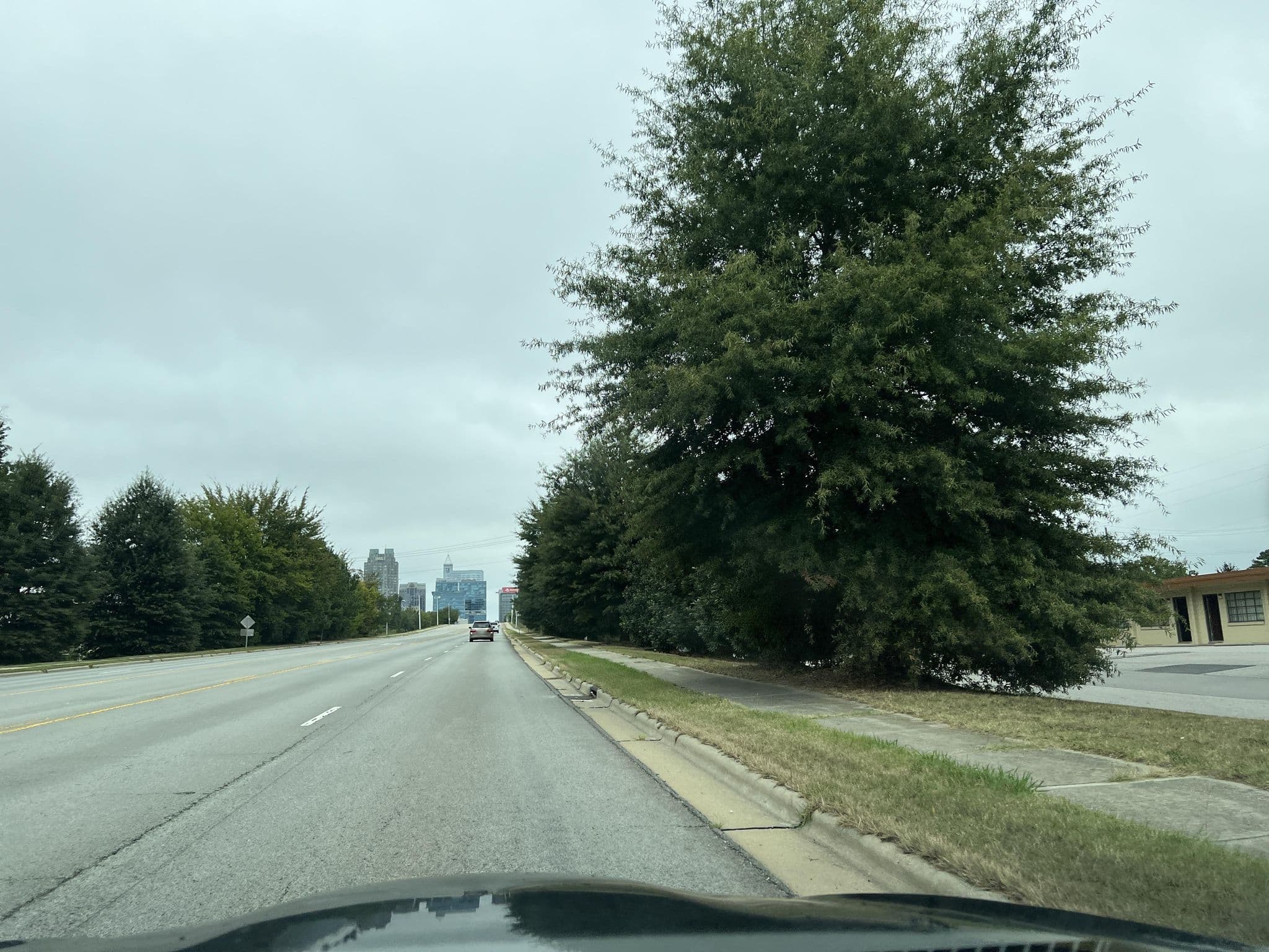 Street view near Kings Motel, Raleigh — © _jcaruso (CC BY-SA · Mapillary)