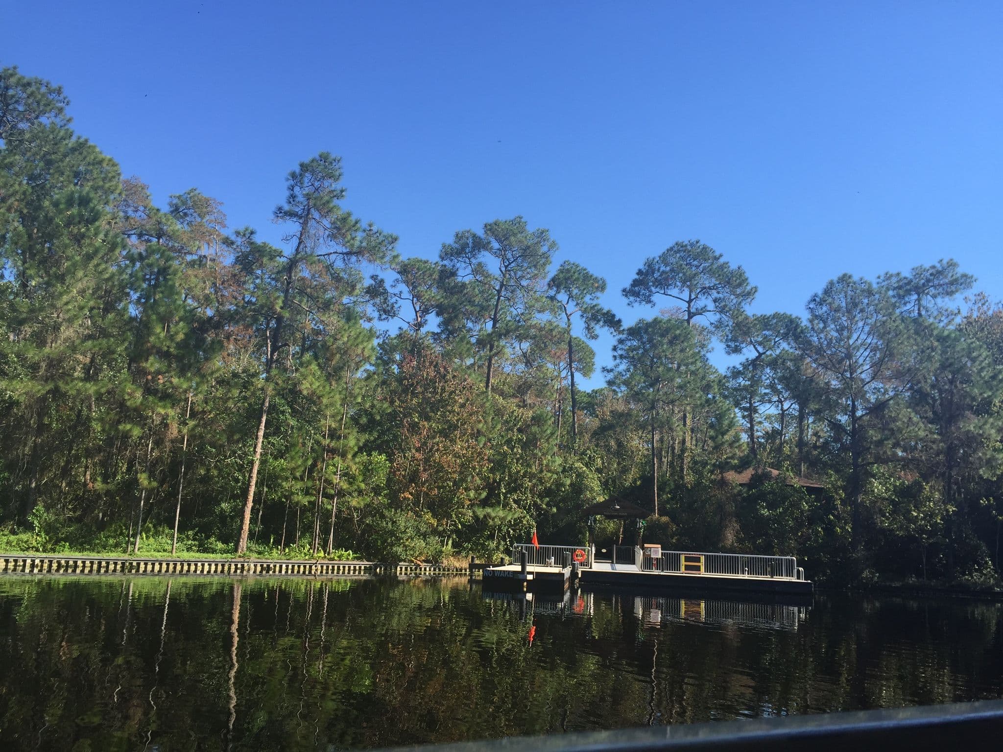 Street view near Disney's Treehouse Villas at Saratoga Springs Resort, Celebration