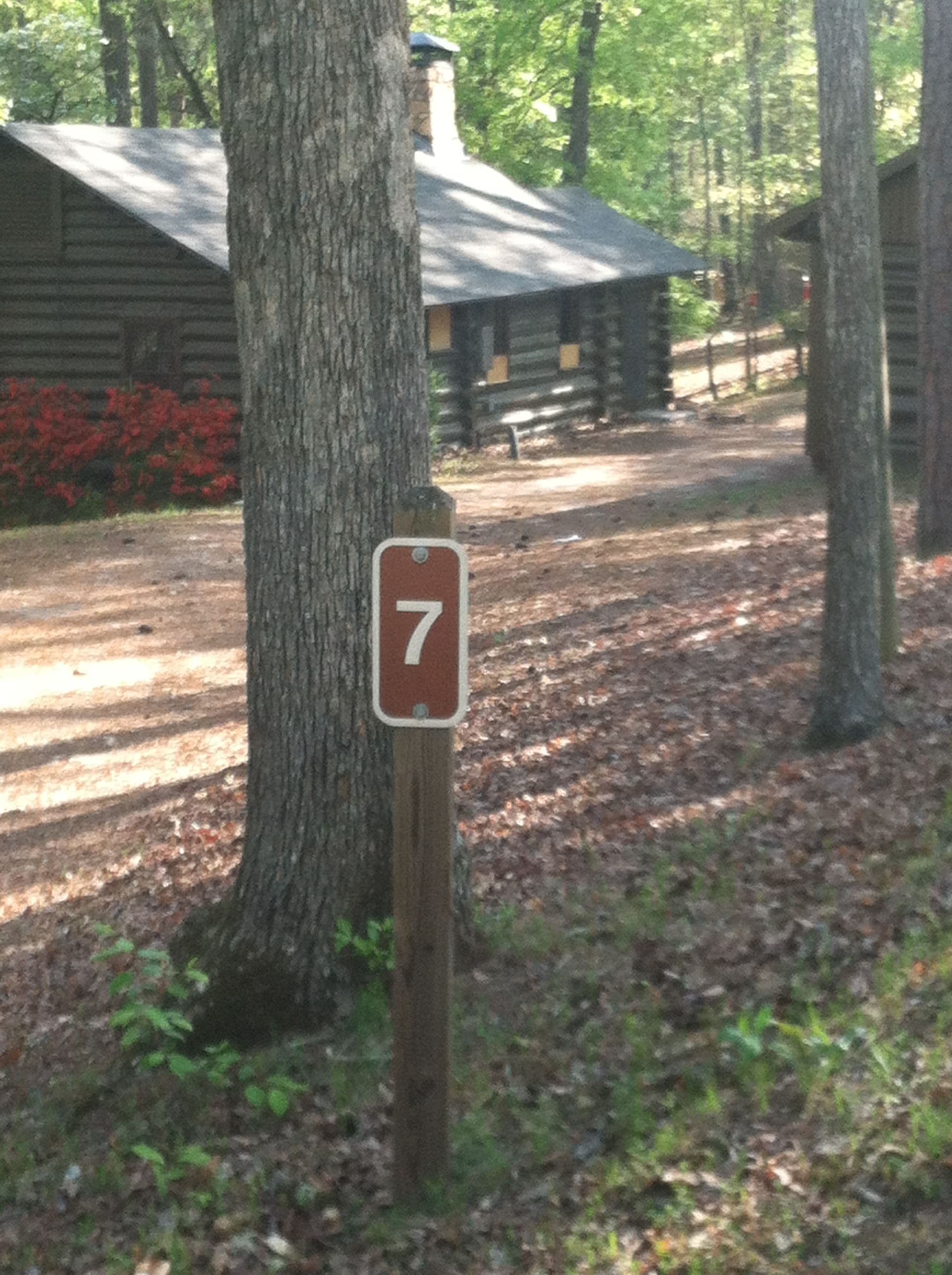 Street view near 7, Pine Mountain — © mapillary01730 (CC BY-SA · Mapillary)
