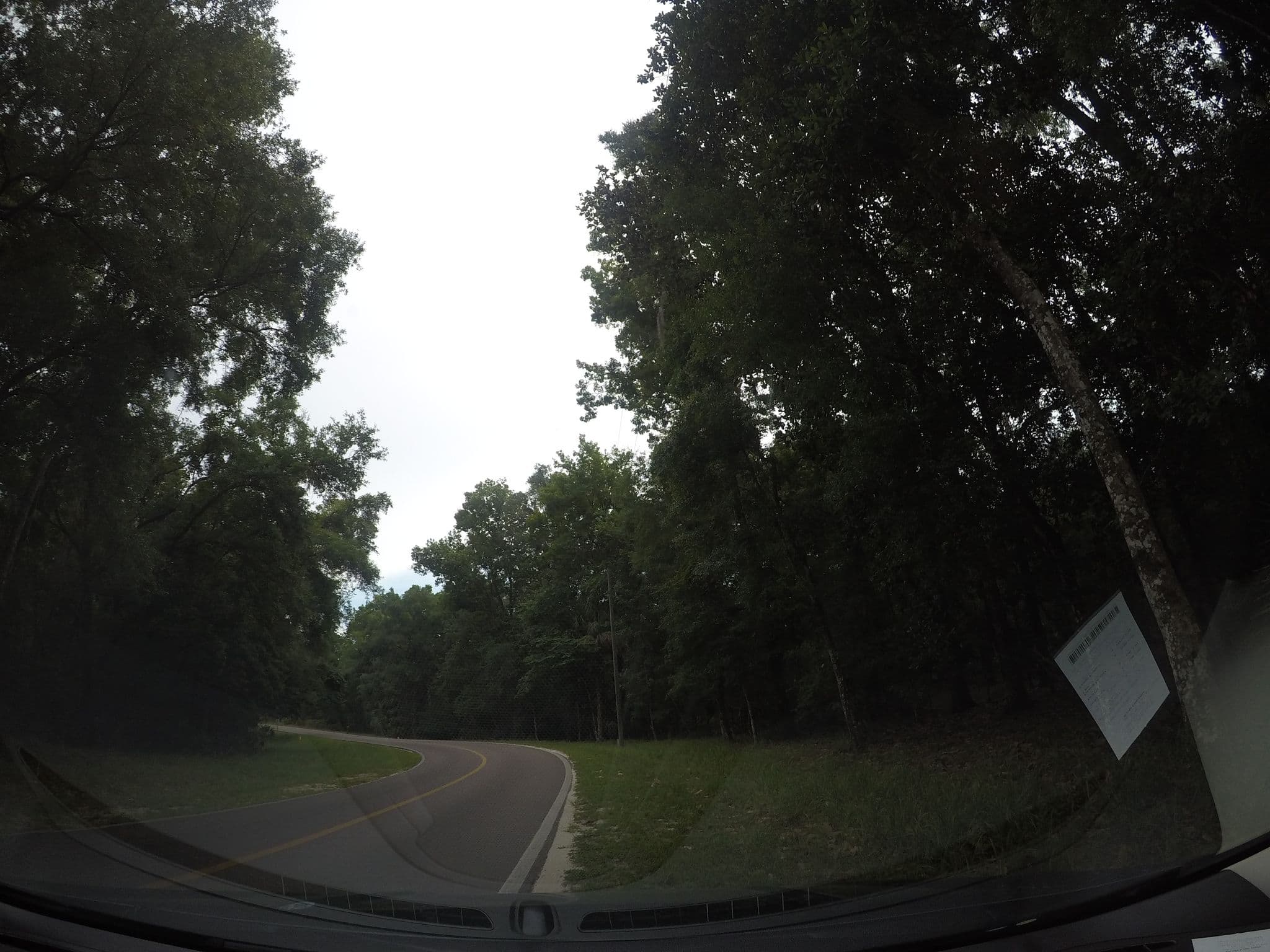 Street view near Hickory Camping Area, Manatee Road — © gerald82 (CC BY-SA · Mapillary)