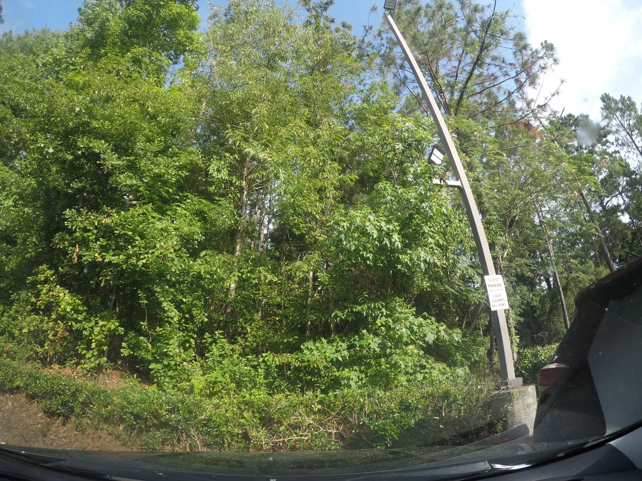 Street view near Sleep Inn & Suites Tallahassee-Capitol, Tallahassee — © gerald82 (CC BY-SA · Mapillary)