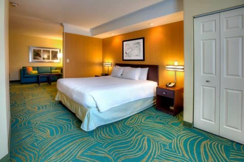 SpringHill Suites Tampa Brandon, Hotel in Palm River-Clair Mel