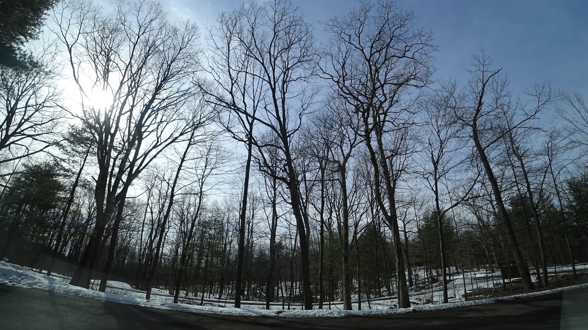 Street view near Wolf Gap Campground, Basye — © danbjoseph (CC BY-SA · Mapillary)