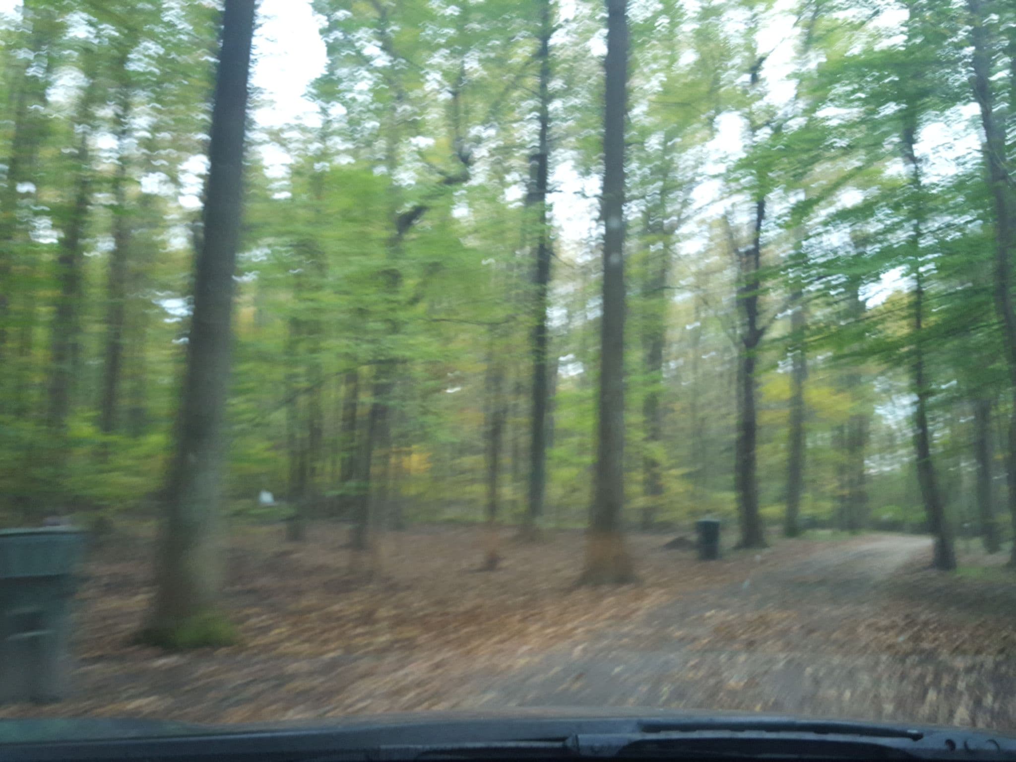 Street view near Watkins Regional Park, Woodmore — © sparks (CC BY-SA · Mapillary)