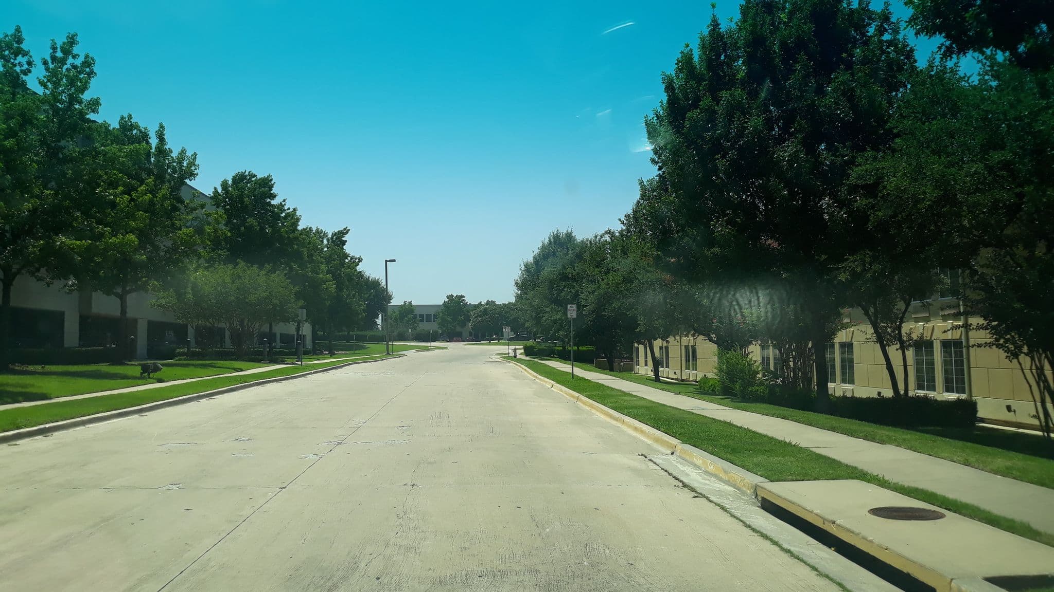Street view near La Quinta Inn & Suites, Irving — © torresc32 (CC BY-SA · Mapillary)