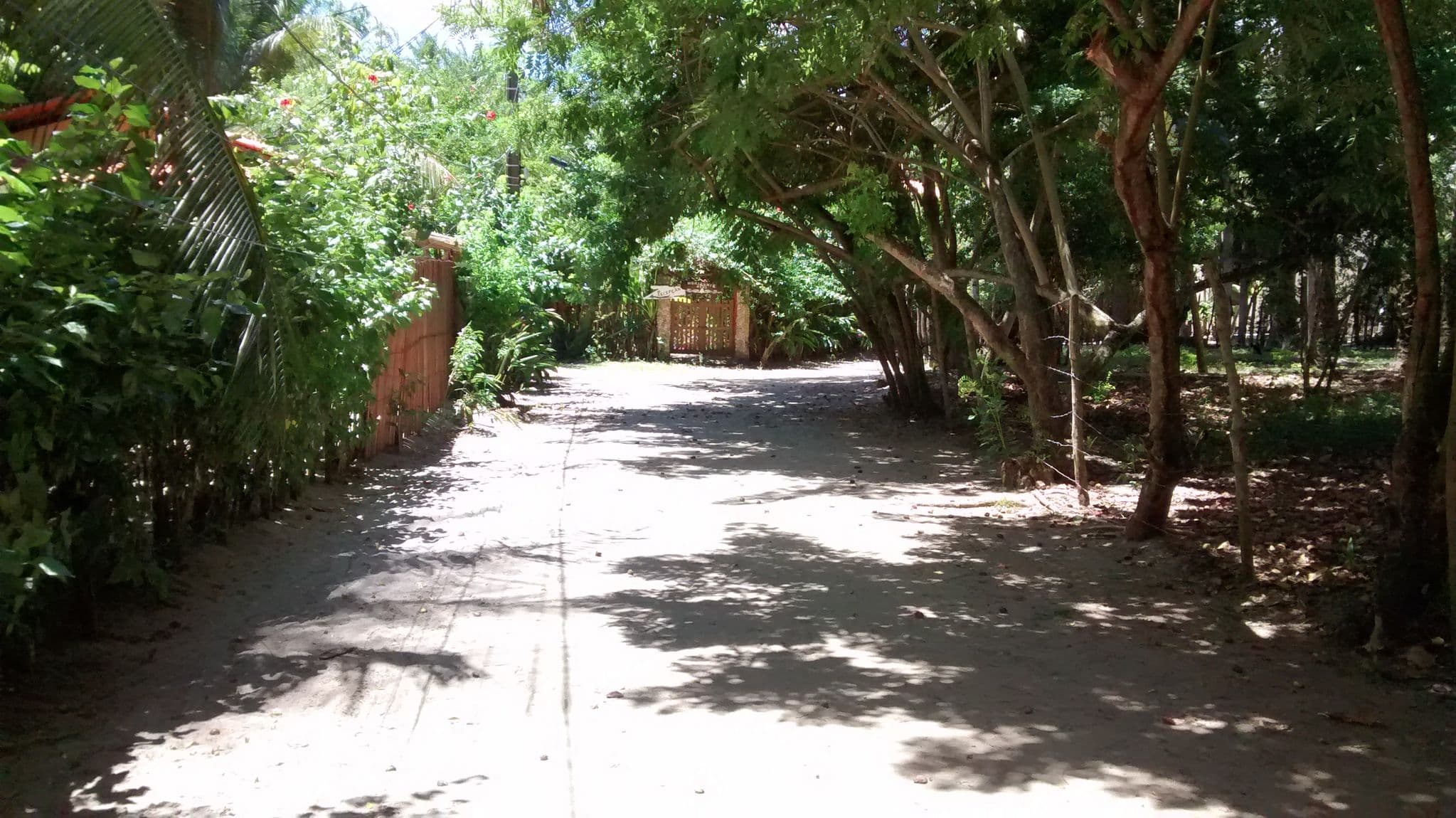 Street view near Pousada Canoa Nativa, Cairu — © severingeo (CC BY-SA · Mapillary)