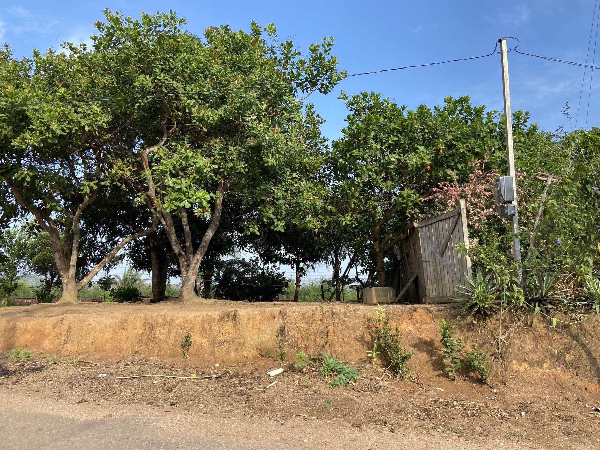 Street view near Chacara Jerusalém, Parauapebas — © guigandra (CC BY-SA · Mapillary)
