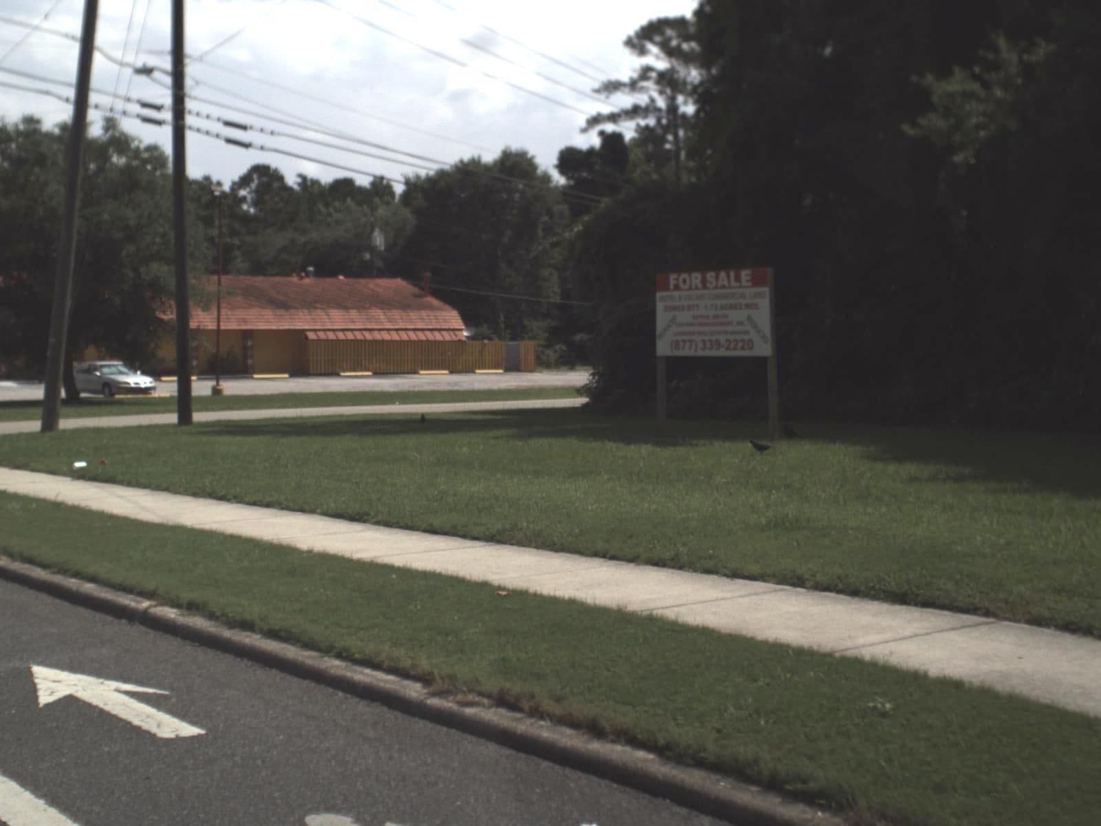 Street view near Comfort Suites, Gainesville — © fdot_vl (CC BY-SA · Mapillary)