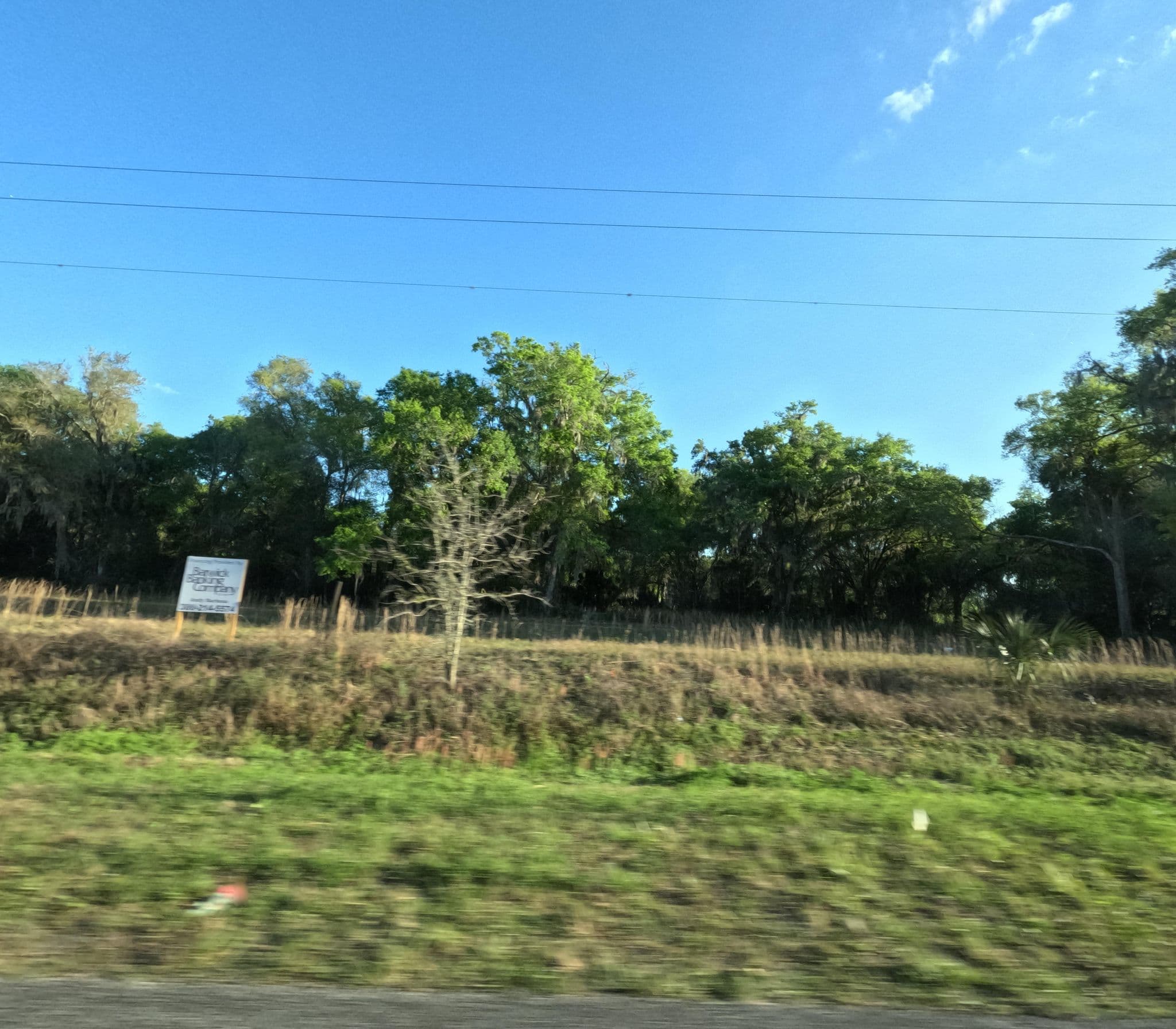Street view near St Johns River Camp Ground Inc, Astor — © allen (CC BY-SA · Mapillary)