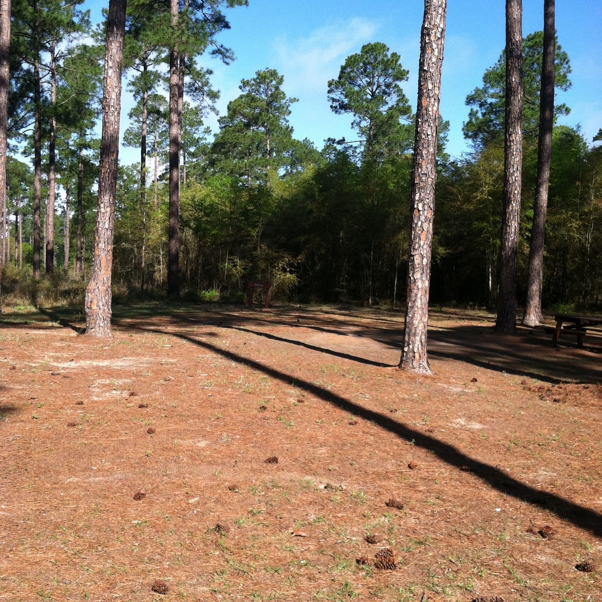 Street view near Pioneer Area #2, Fort Gaines — © mapillary01730 (CC BY-SA · Mapillary)