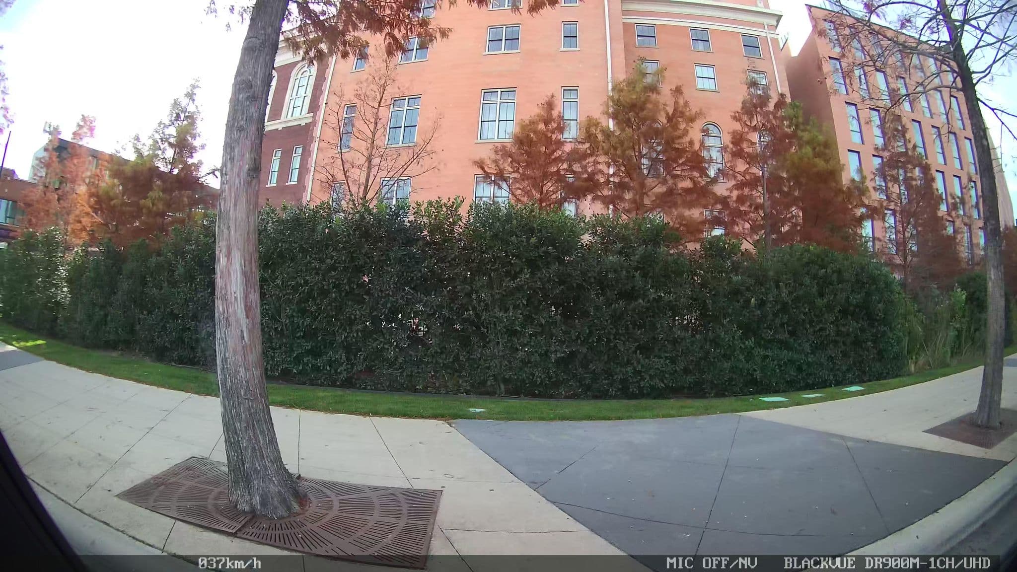 Street view near The Pittman, Dallas — © piligab (CC BY-SA · Mapillary)