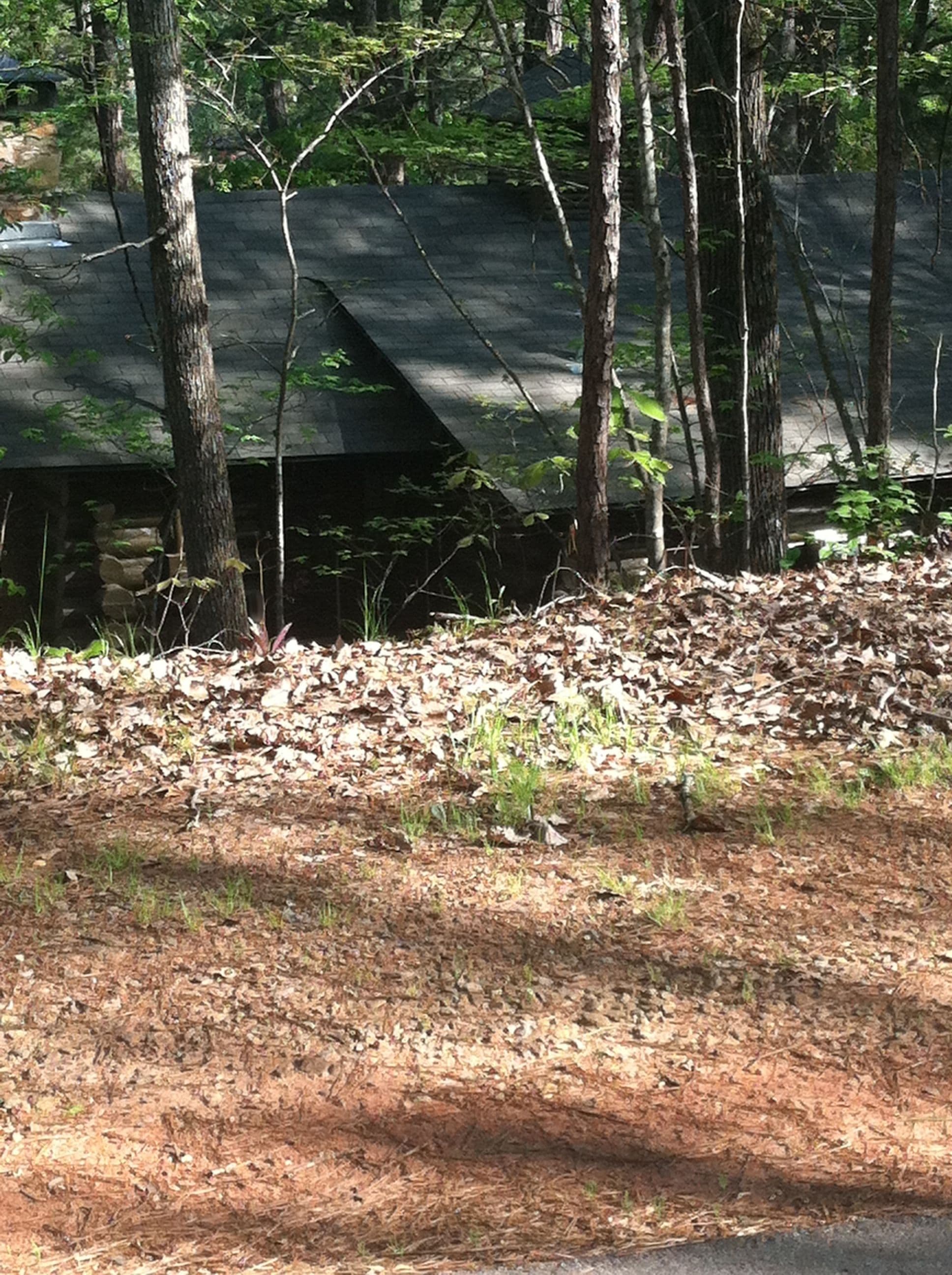 Street view near 8, Pine Mountain — © mapillary01730 (CC BY-SA · Mapillary)