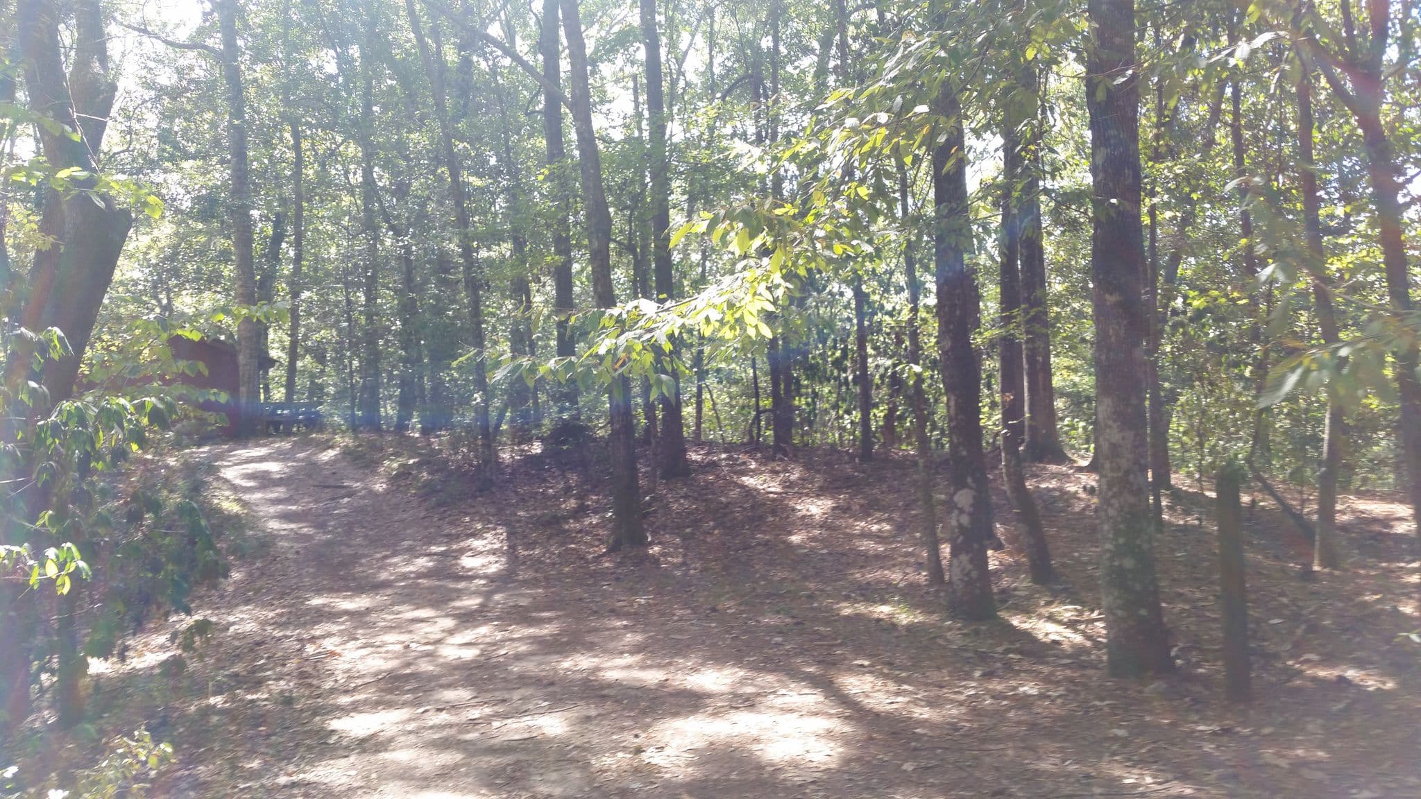 Street view near Squirrel's Nest Camping Shelter #1, Spanish Fort — © caboosey (CC BY-SA · Mapillary)
