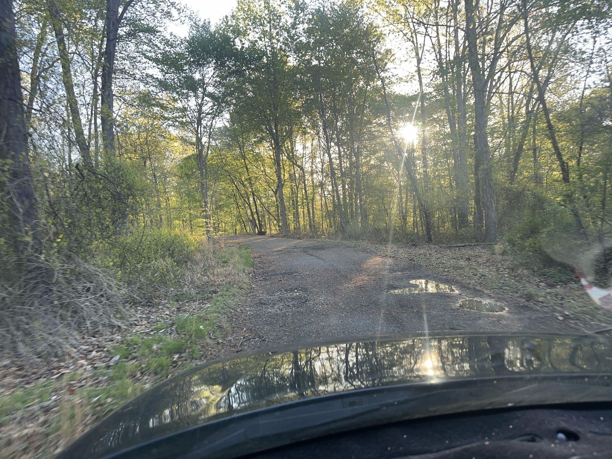 Street view near Rocky Ridge, Rising Sun — © mdroads (CC BY-SA · Mapillary)