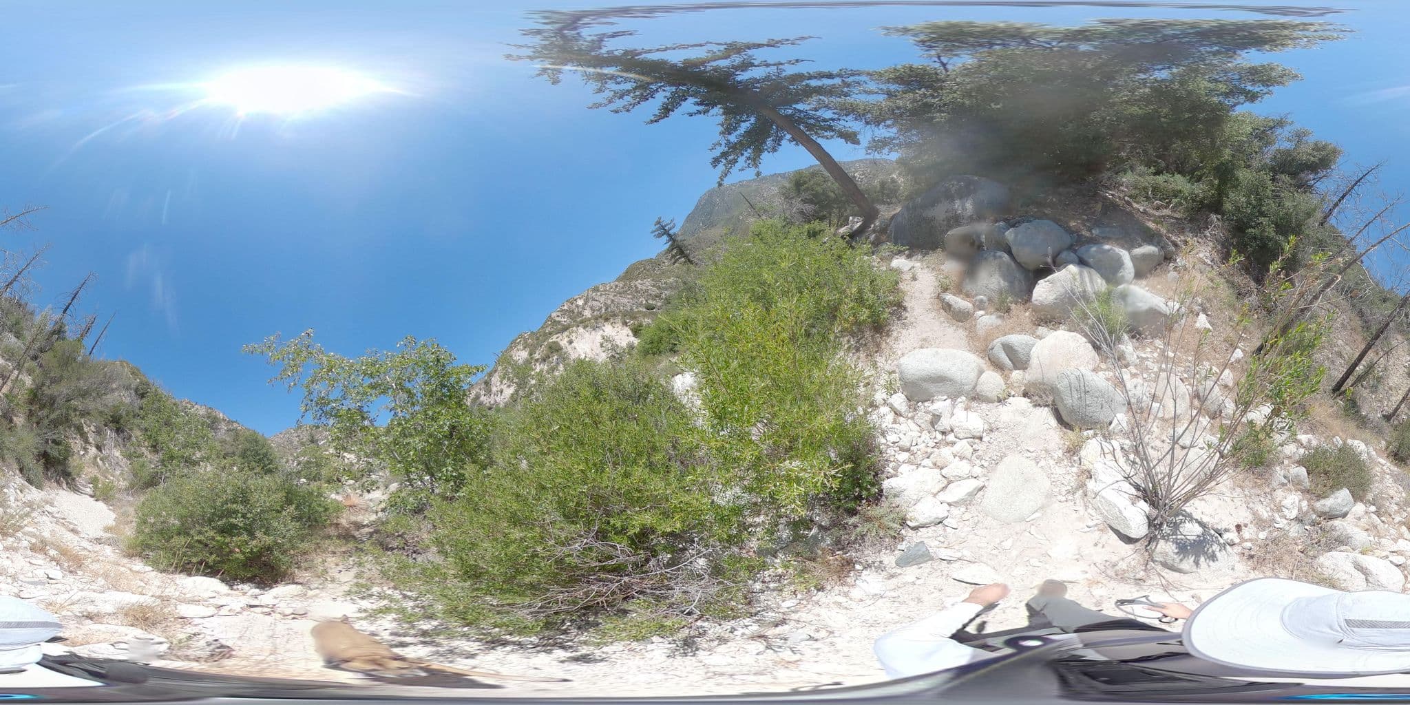 Street view near Devils Cyn, Sierra Madre — © schpok (CC BY-SA · Mapillary)