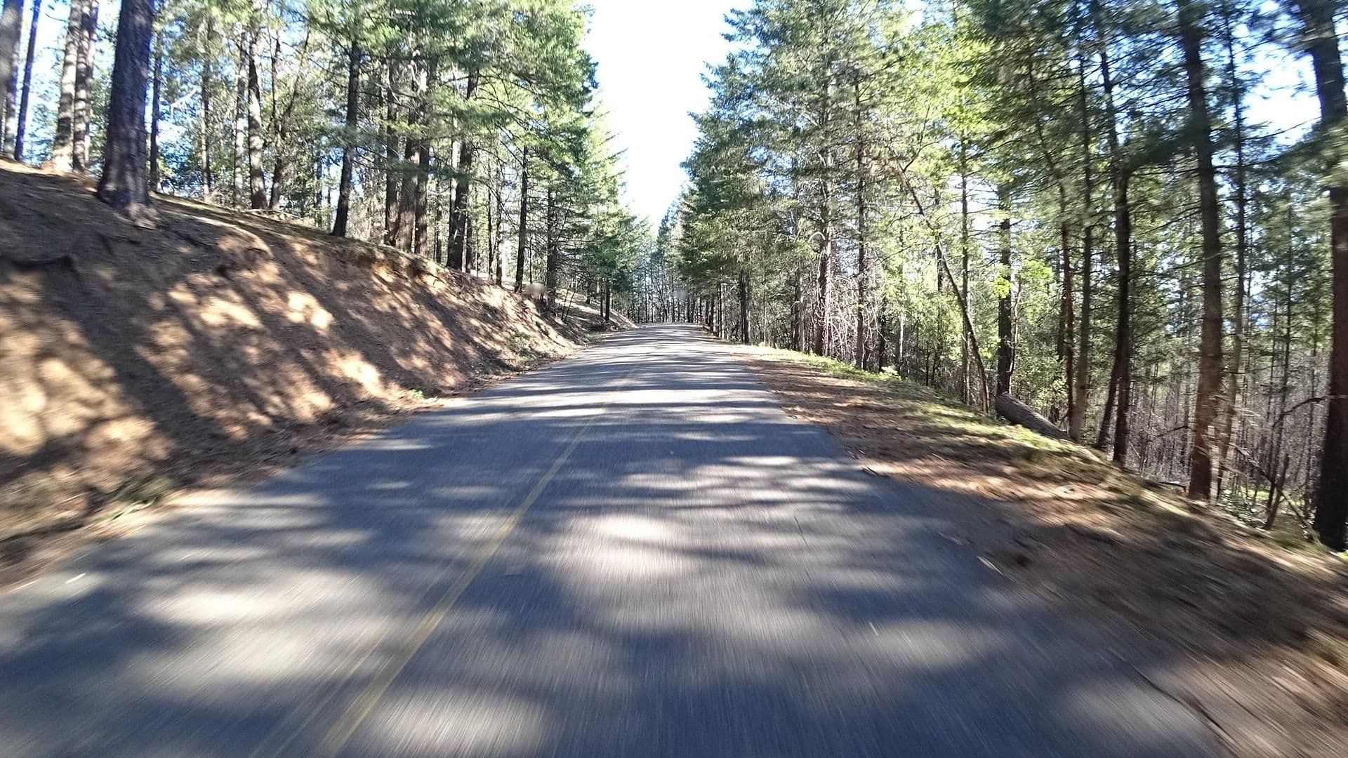 Street view near Penny Pines, Upper Lake — © marker_geo (CC BY-SA · Mapillary)