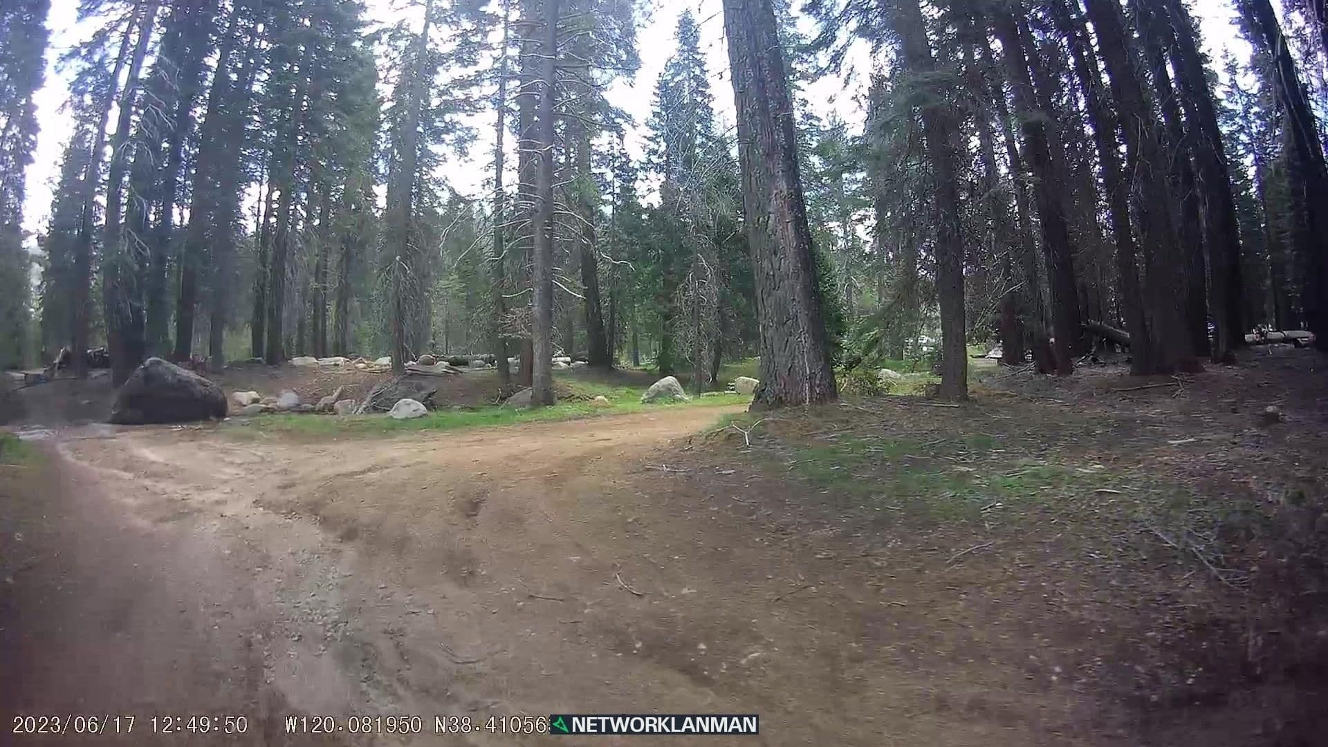 Street view near Hells Kitchen Campground, Forest Meadows — © networklanman (CC BY-SA · Mapillary)