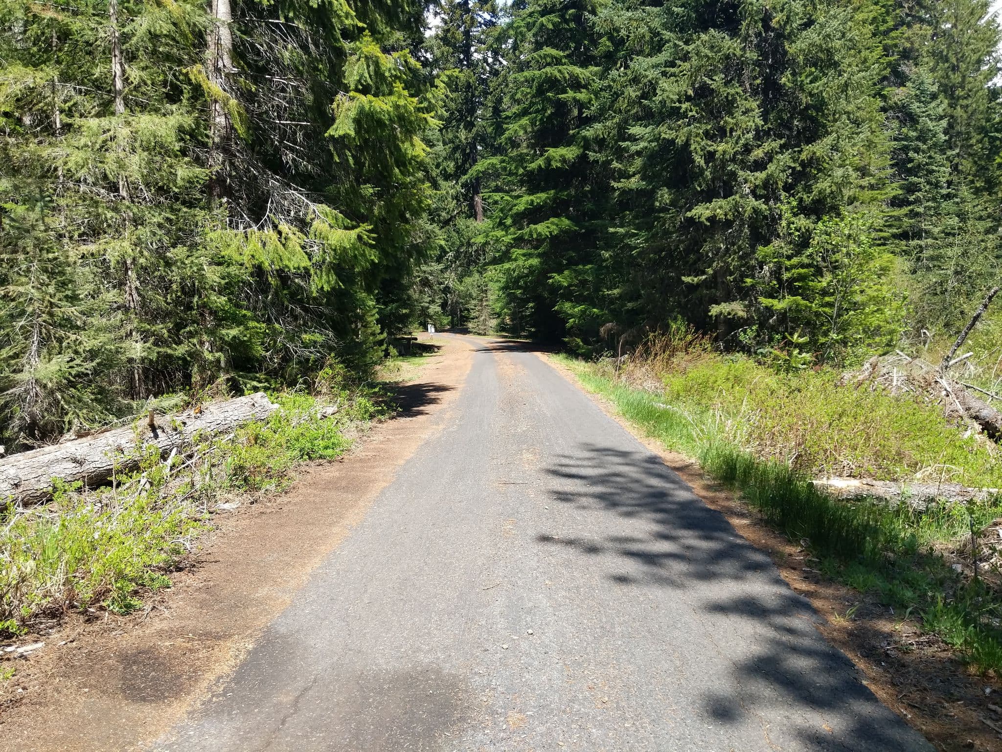 Street view near Little Crater Lake Campground, Mount Hood Village — © nemia (CC BY-SA · Mapillary)