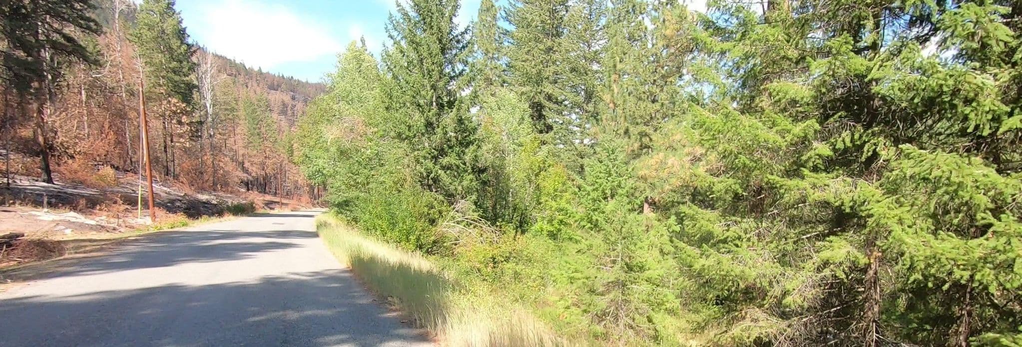 Street view near Memorial Campground, Okanogan — © networklanman (CC BY-SA · Mapillary)