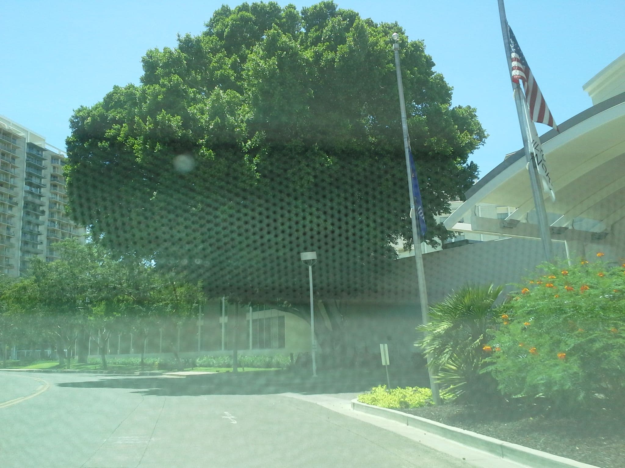 Street view near Hilton Garden Inn Phoenix Midtown, Encanto — © drkludge (CC BY-SA · Mapillary)