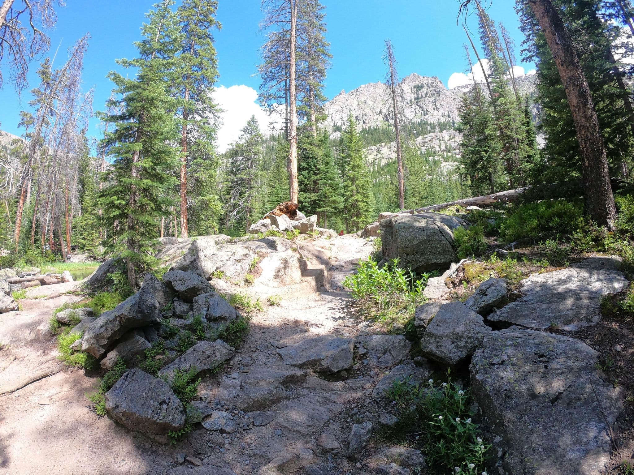 Street view near Gray Jay Group, Estes Park — © toebee (CC BY-SA · Mapillary)