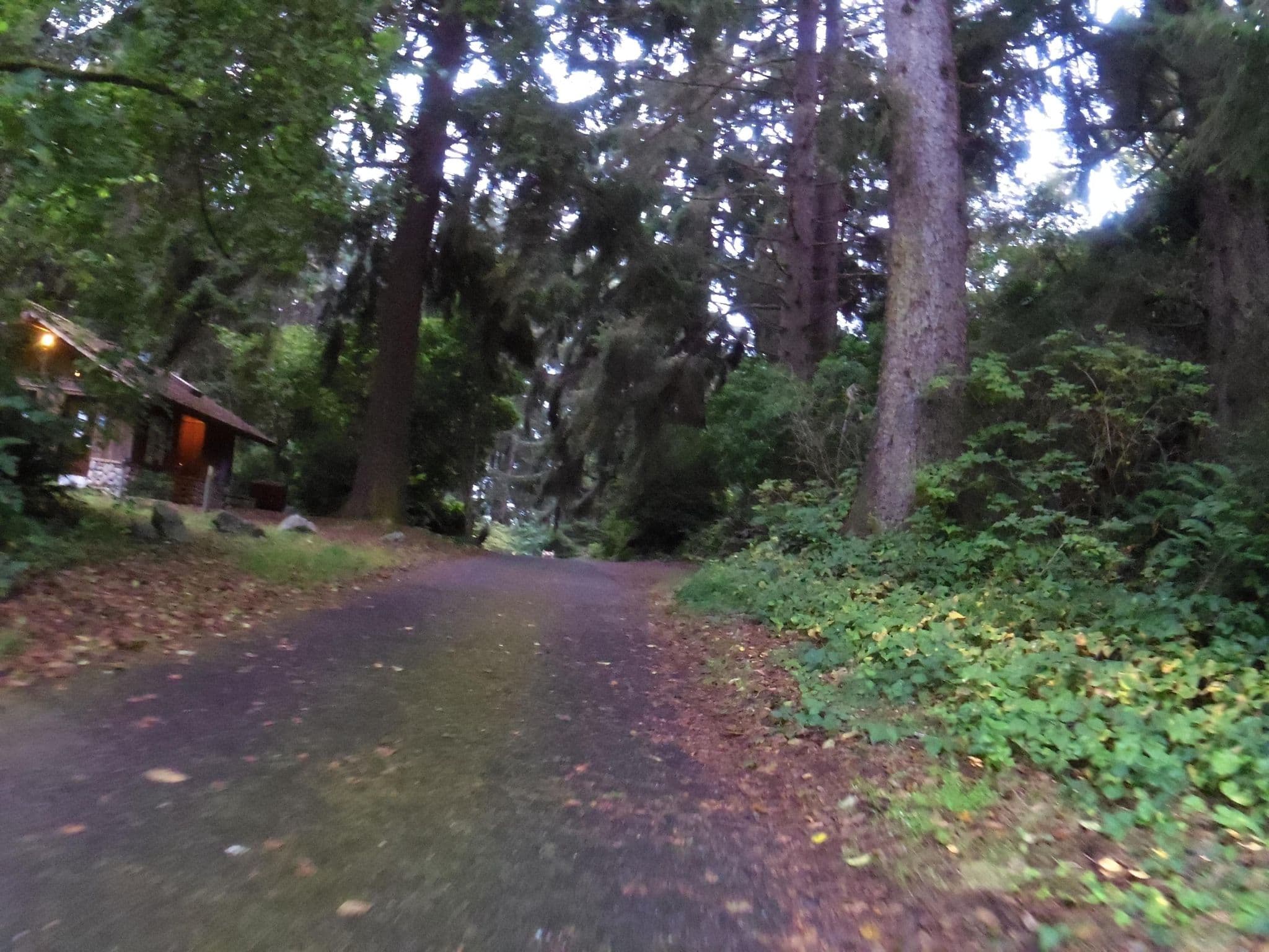 Street view near Lookout Rock Camp Site, Westhaven-Moonstone — © andrewsnow (CC BY-SA · Mapillary)