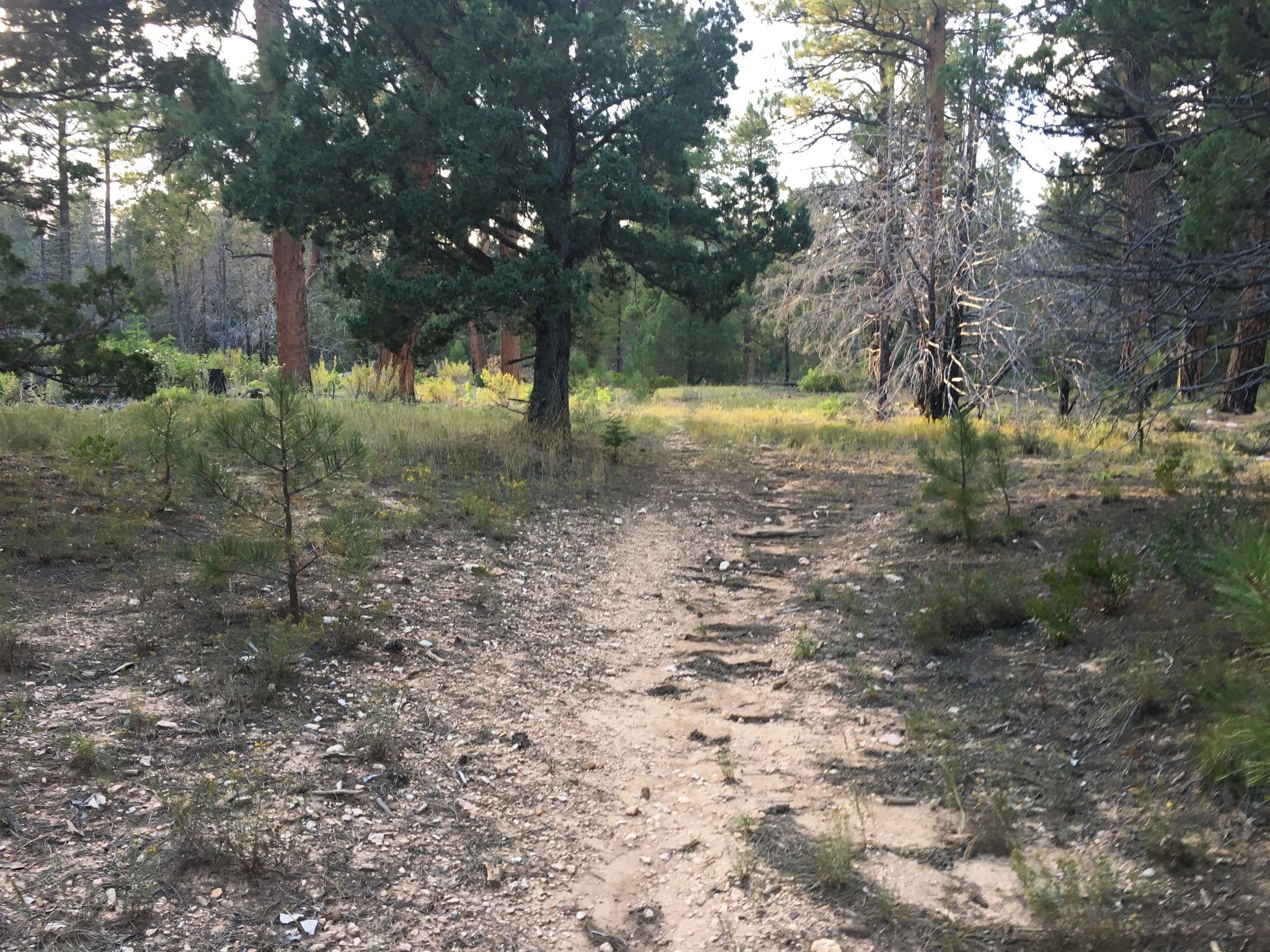 Street view near Riggs Spring Group Site, Panguitch