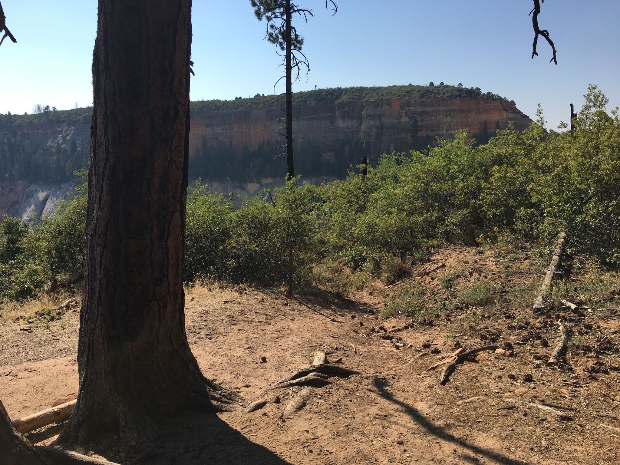 Street view near Campsite 2, Toquerville — © huon (CC BY-SA · Mapillary)