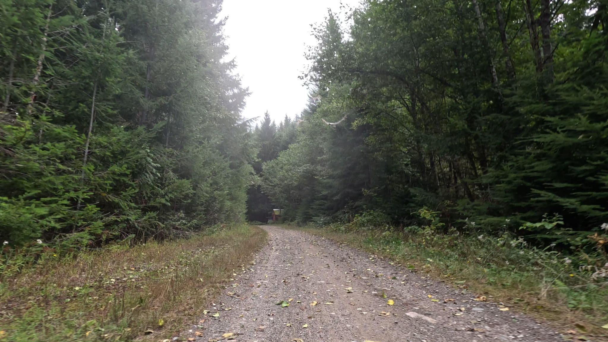 Street view near Carter Creek Campsite, Riverbend — © natfoot (CC BY-SA · Mapillary)