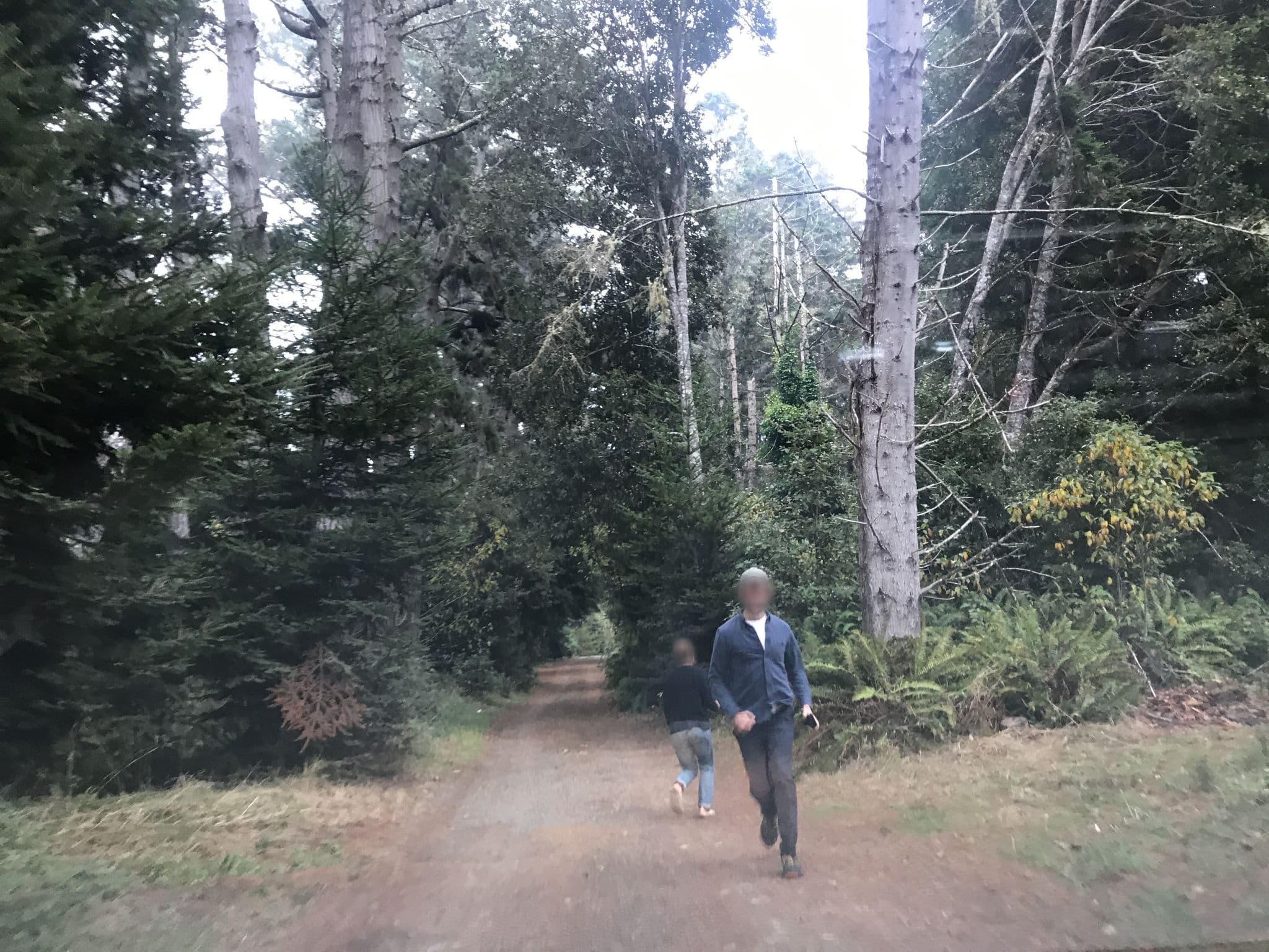 Street view near Jug Handle Creek Farm Campground, Brooktrails — © amahon (CC BY-SA · Mapillary)