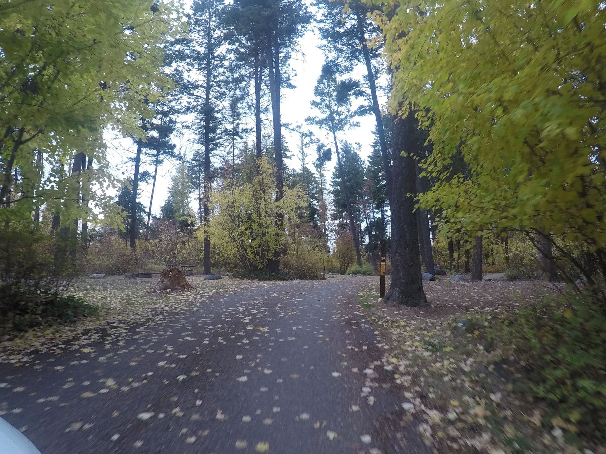 Street view near Wayfarers State Park Campground, Bigfork — © chrisbeddow (CC BY-SA · Mapillary)