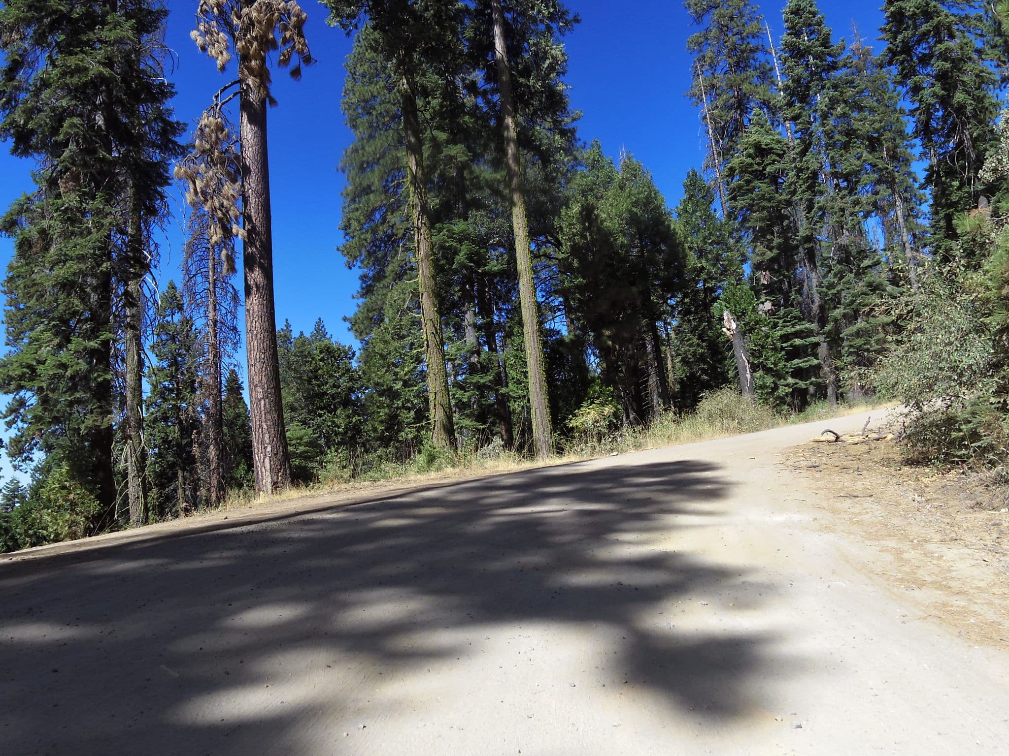 Street view near dusty Daisy campsite, Ahwahnee — © clydel (CC BY-SA · Mapillary)