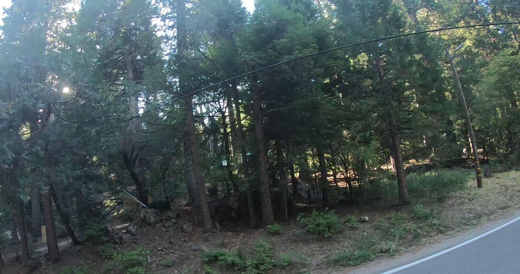Street view near Yuba River Inn, Portola — © networklanman (CC BY-SA · Mapillary)