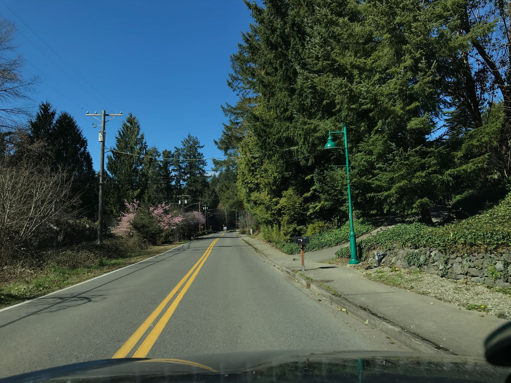 Street view near Gig Harbor RV Resort, Gig Harbor — © vayn (CC BY-SA · Mapillary)