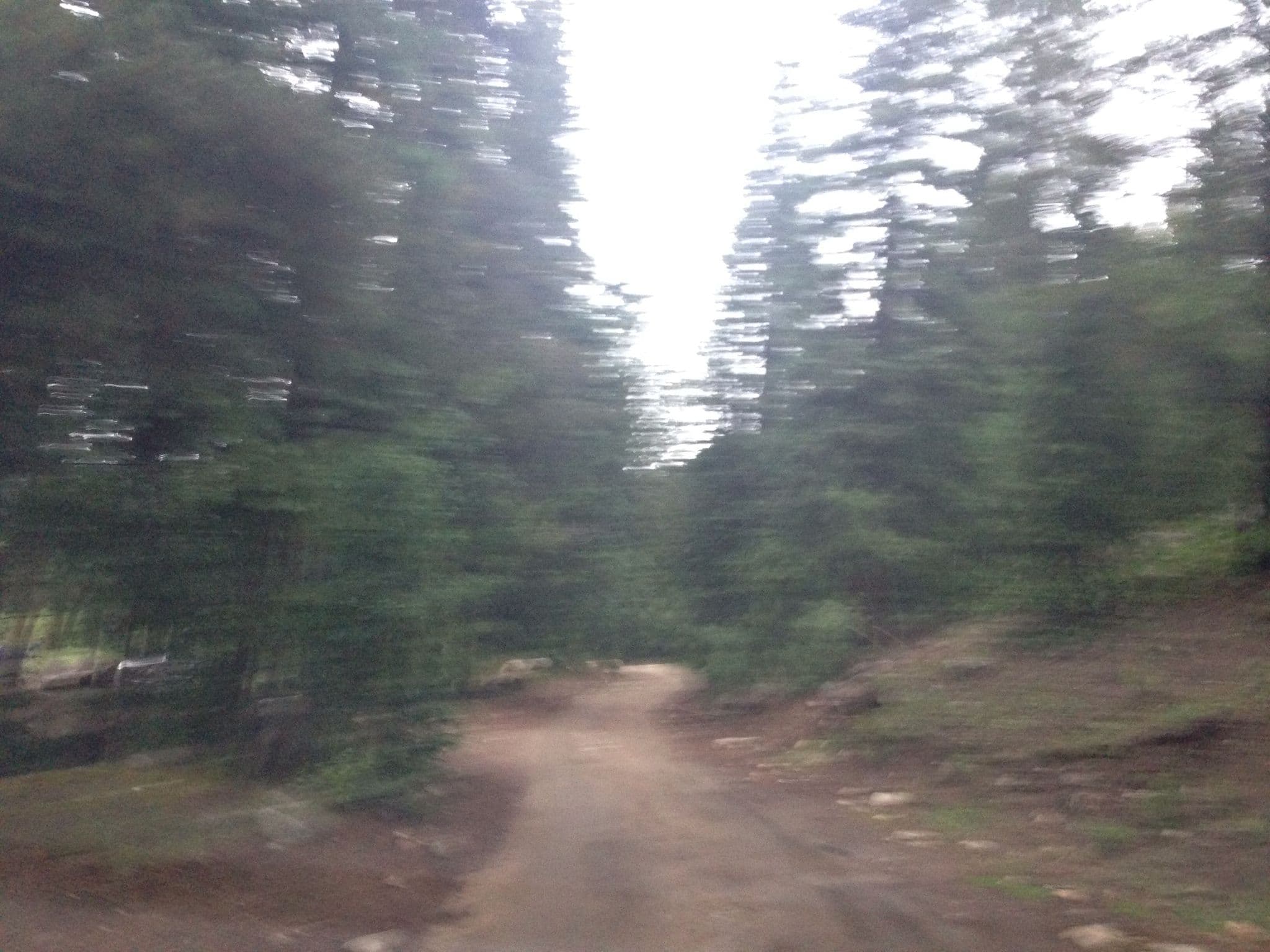Street view near Designated Campsite, Silverthorne — © chrisbeddow (CC BY-SA · Mapillary)