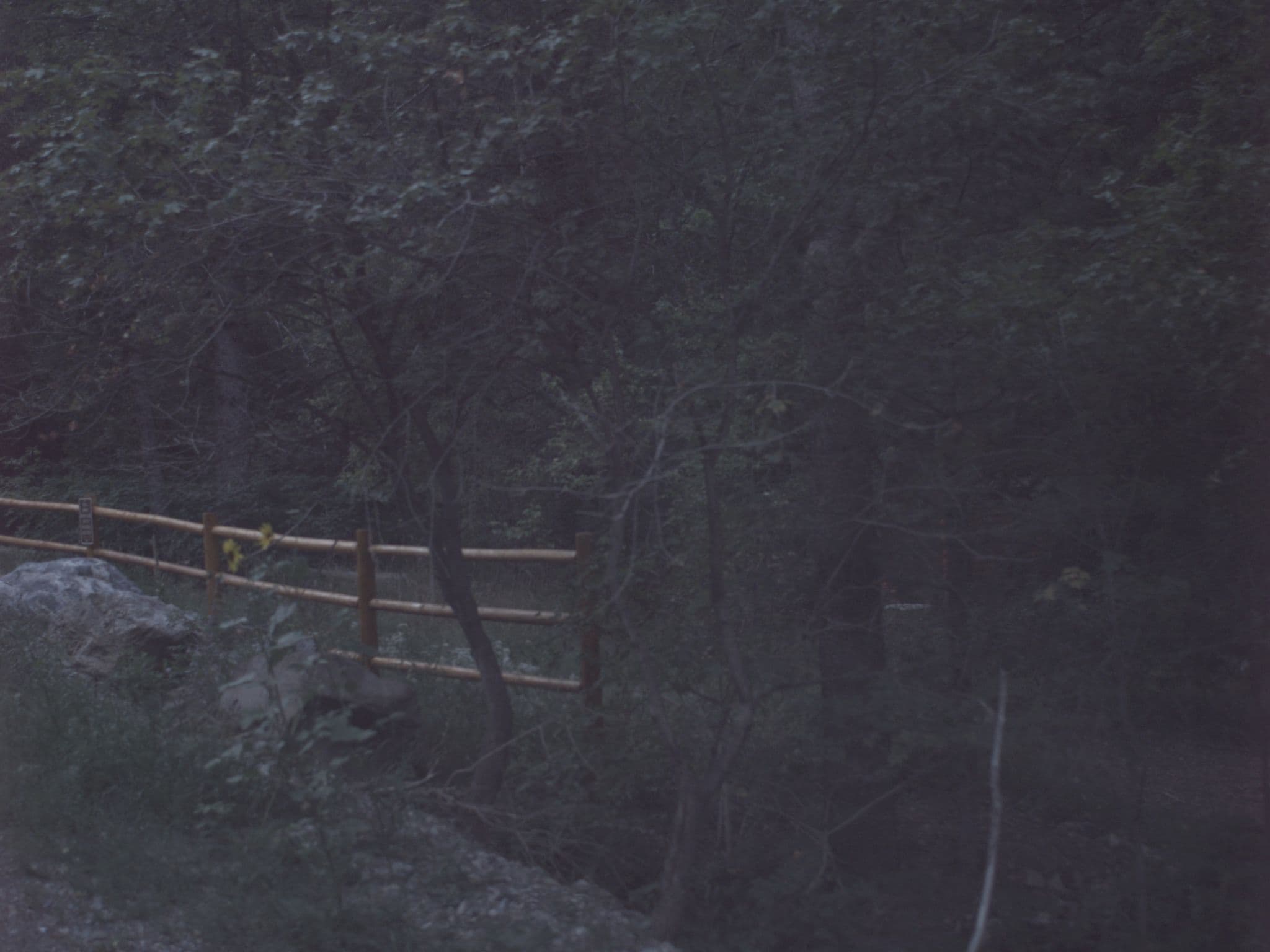 Street view near Site 3, Cedar Hills — © asellars (CC BY-SA · Mapillary)