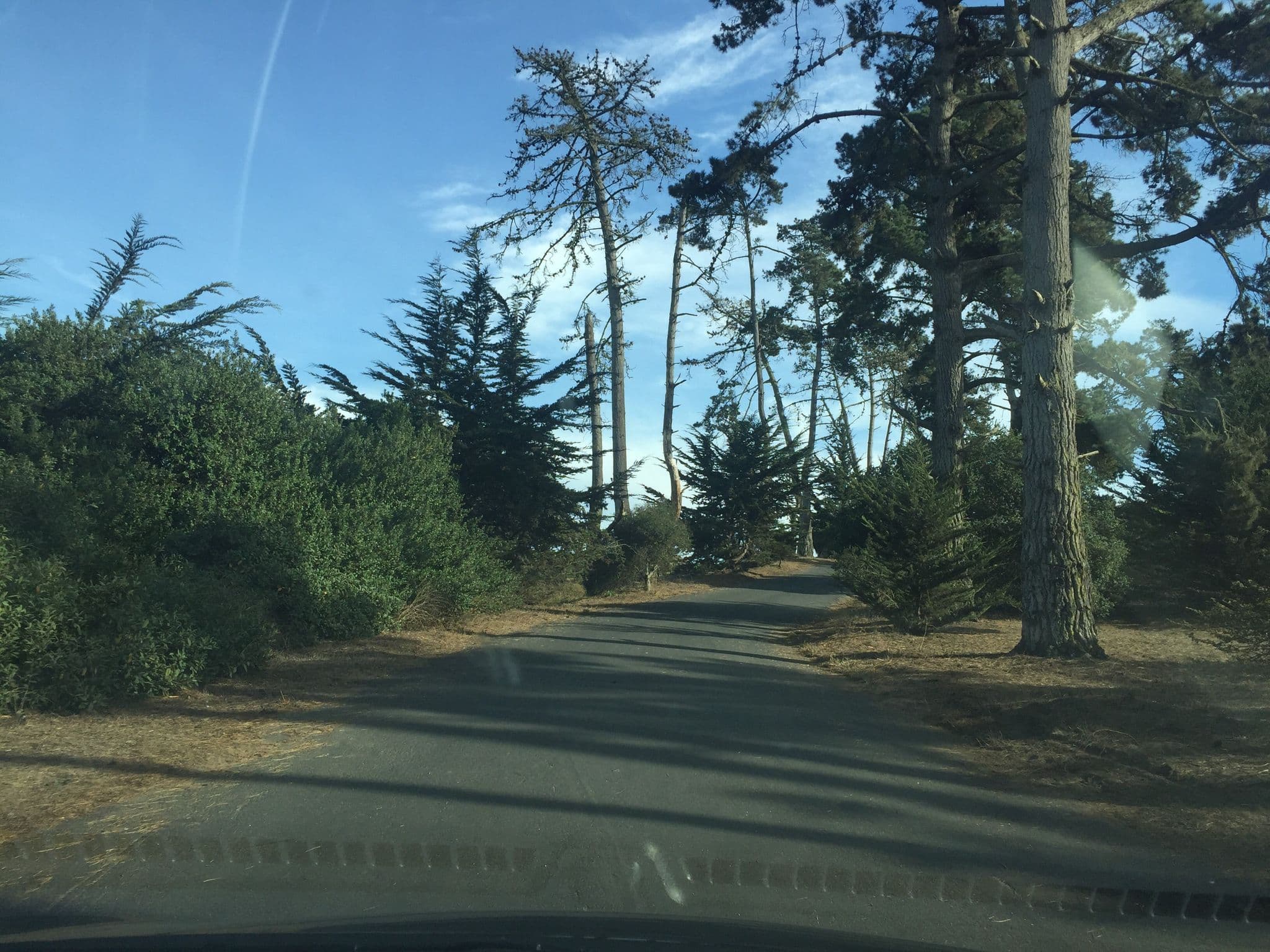 Street view near Hike and Bike Campsites, La Selva Beach — © canadarunner (CC BY-SA · Mapillary)