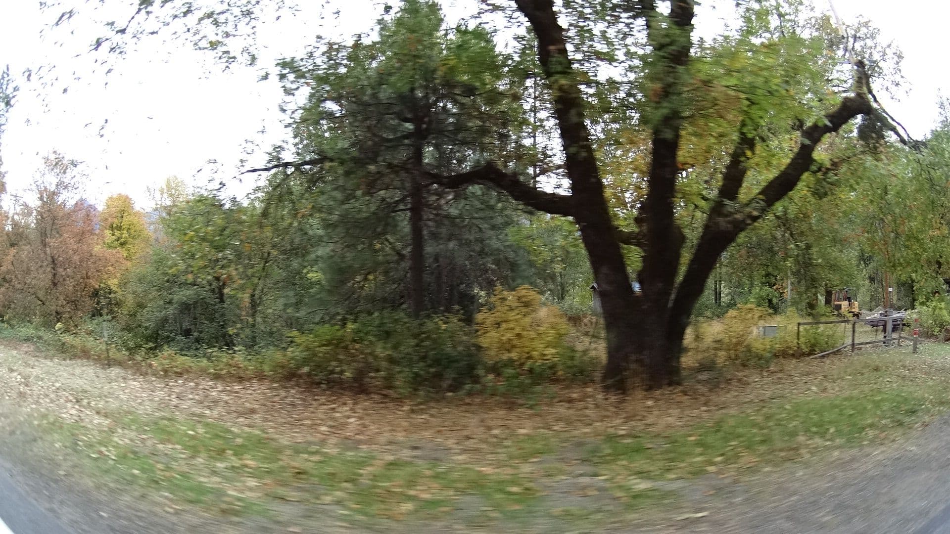 Street view near Wildwood RV Parking, Happy Camp — © marker_geo (CC BY-SA · Mapillary)